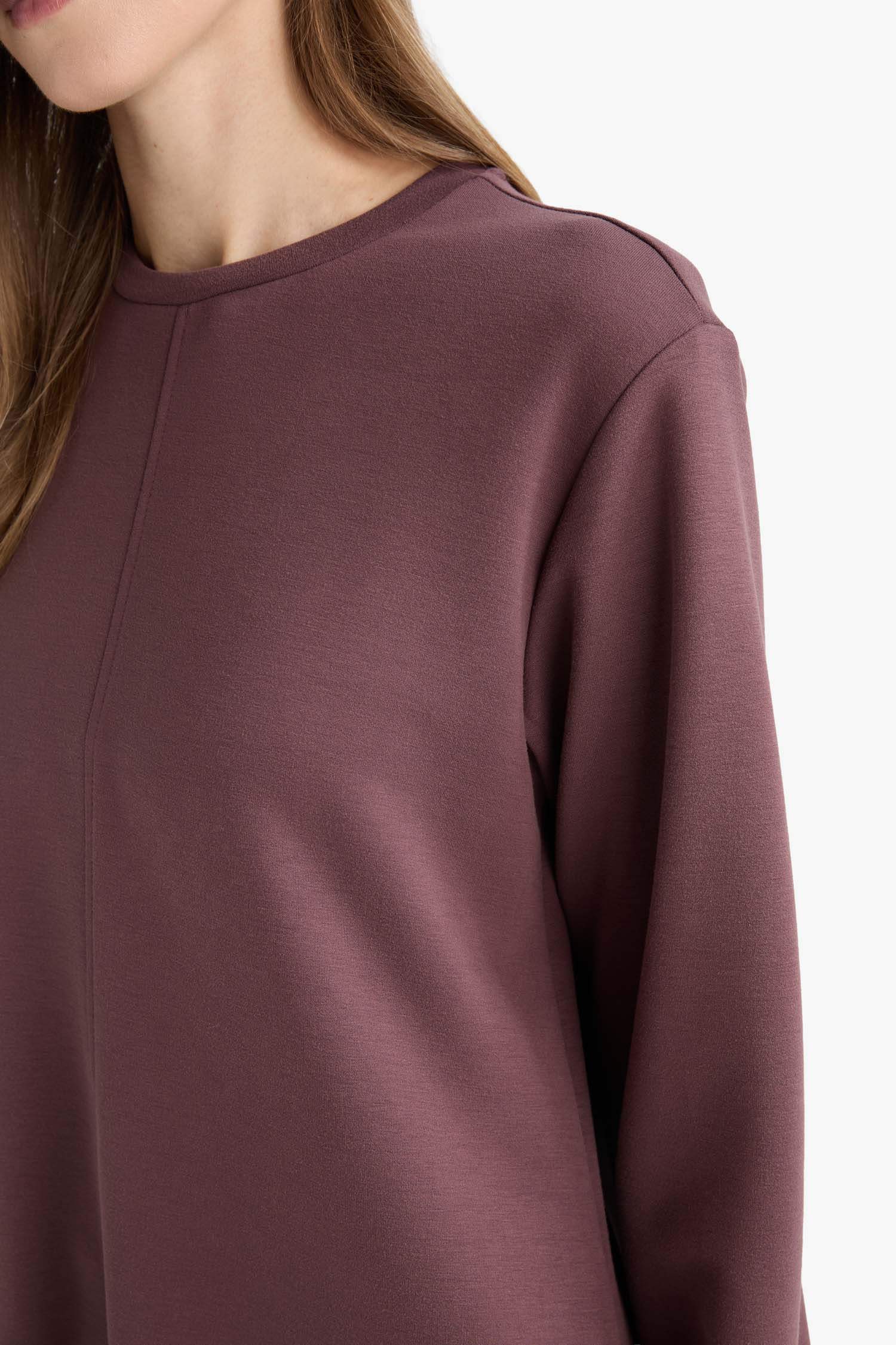 Regular Fit Crew Neck Long Sleeve Tunic