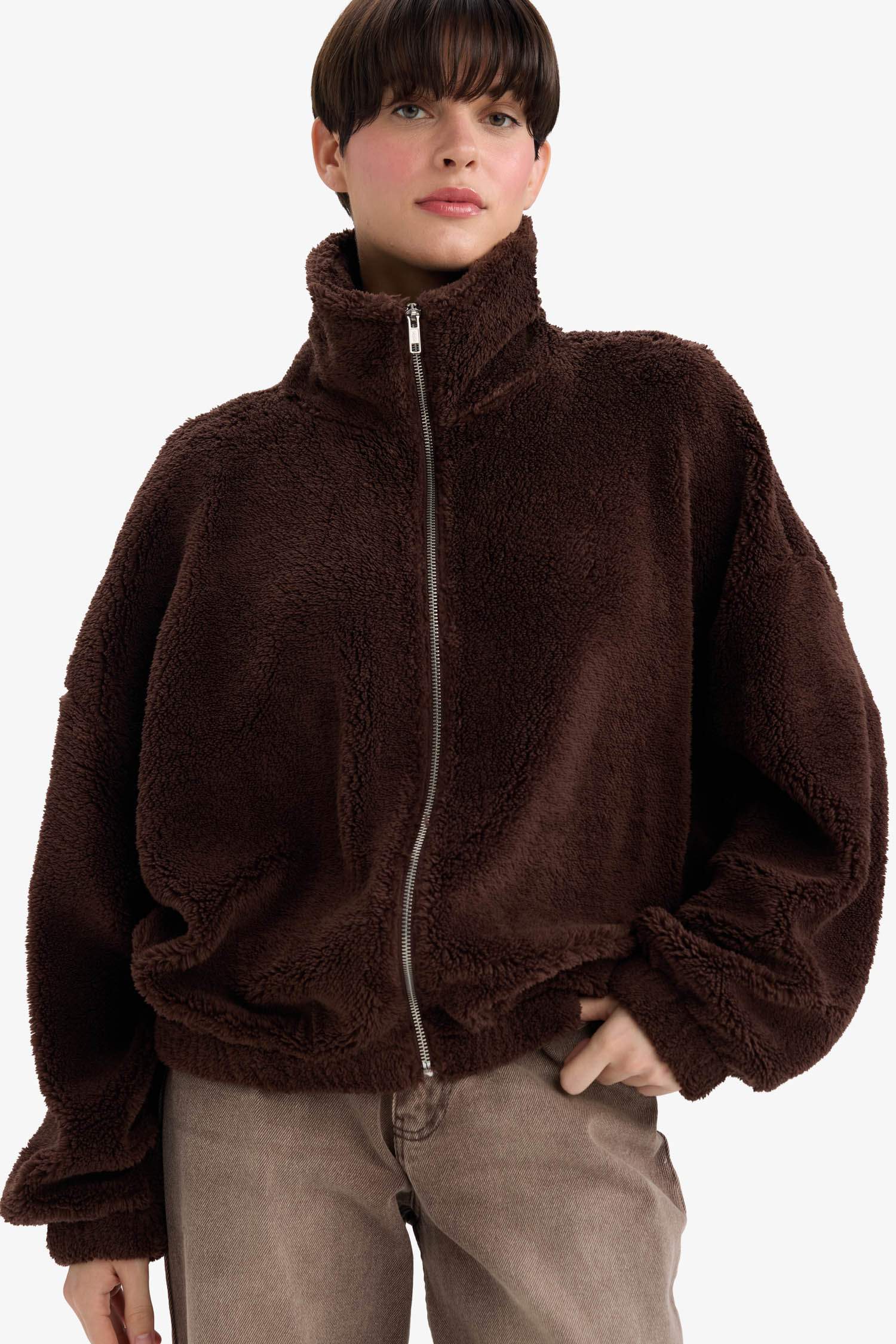 Oversize Fit Polo Neck Welsoft Plush Sweatshirt