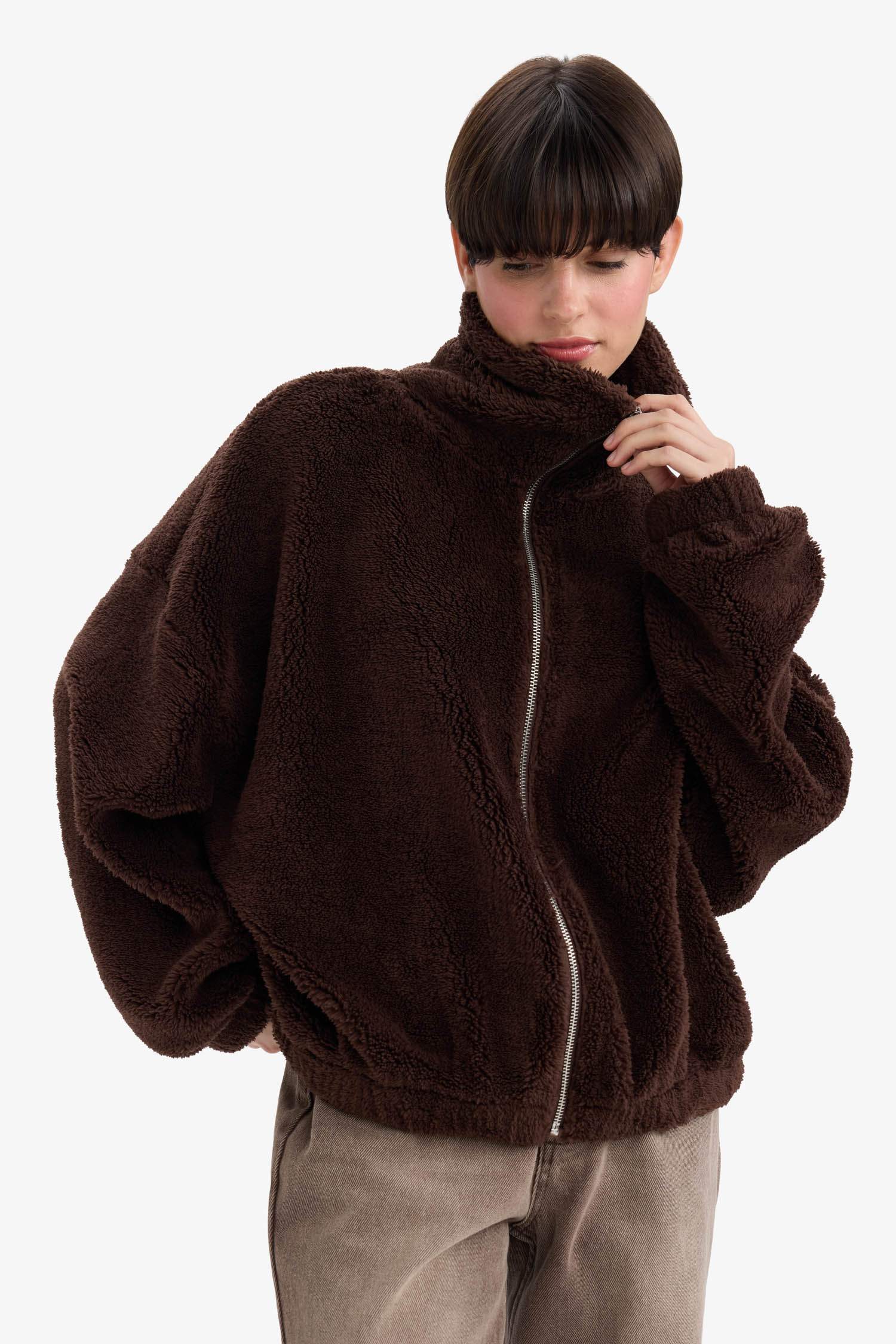 Oversize Fit Polo Neck Welsoft Plush Sweatshirt