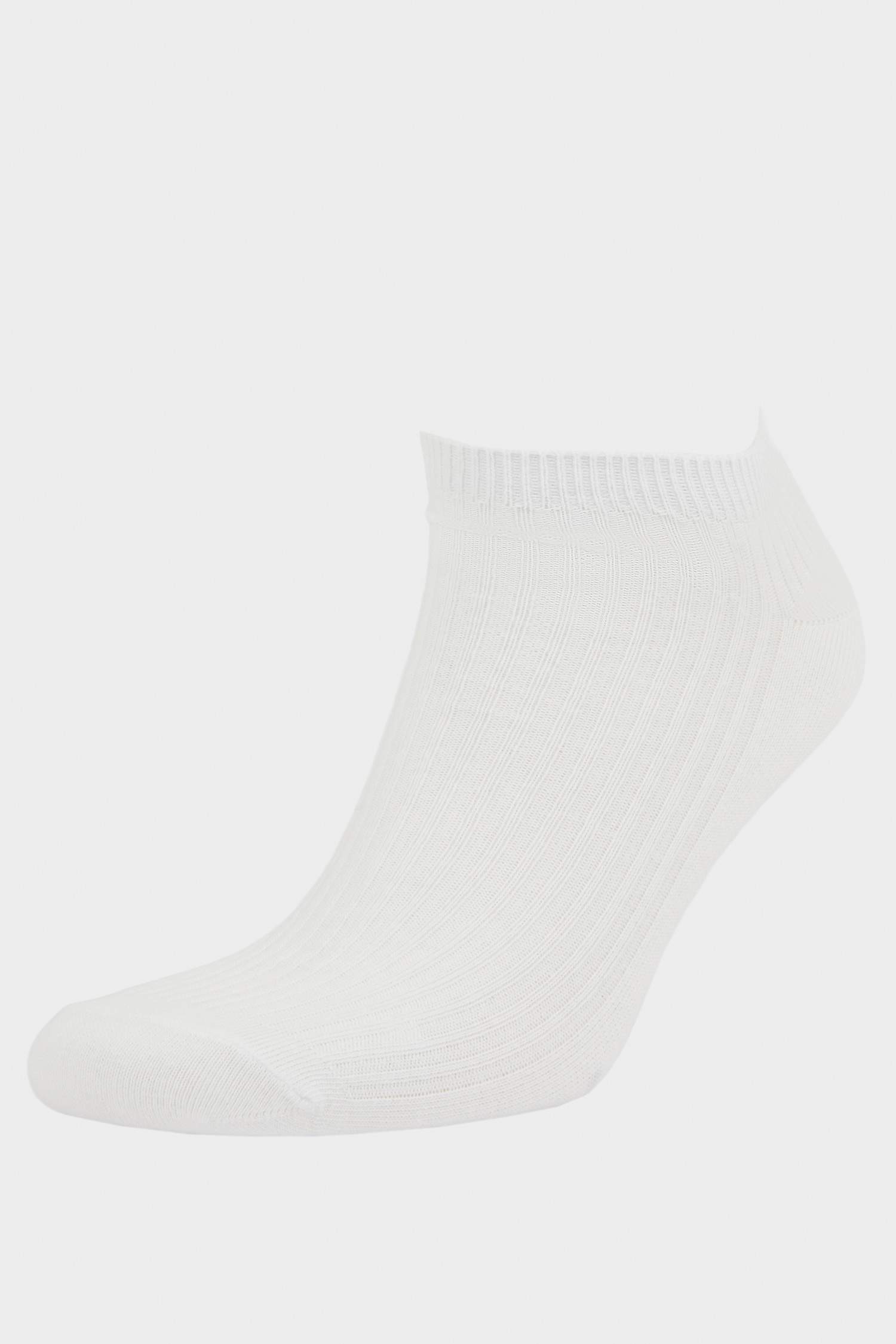Kadın Rahat Lastikli 5'li Pamuklu Patik Çorap