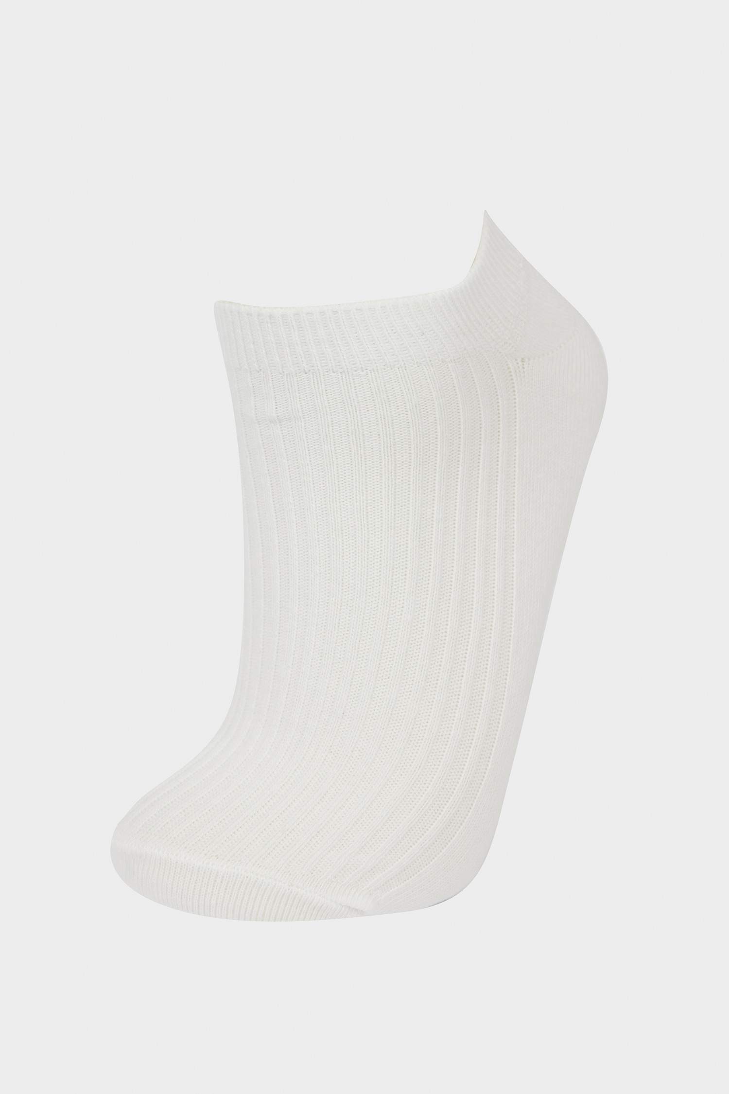 Kadın Rahat Lastikli 5'li Pamuklu Patik Çorap