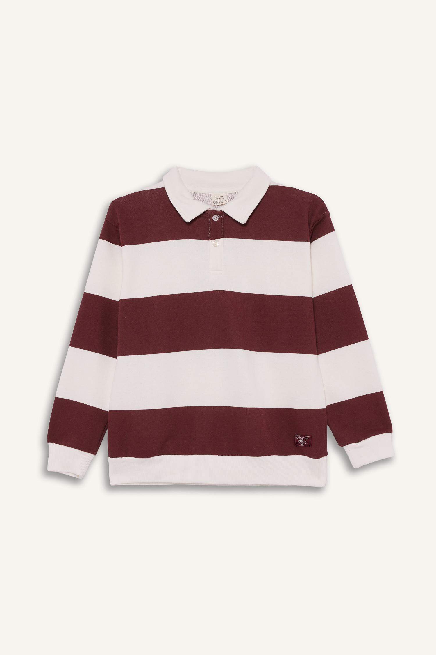 Regular Fit Polo Collar Sweatshirt