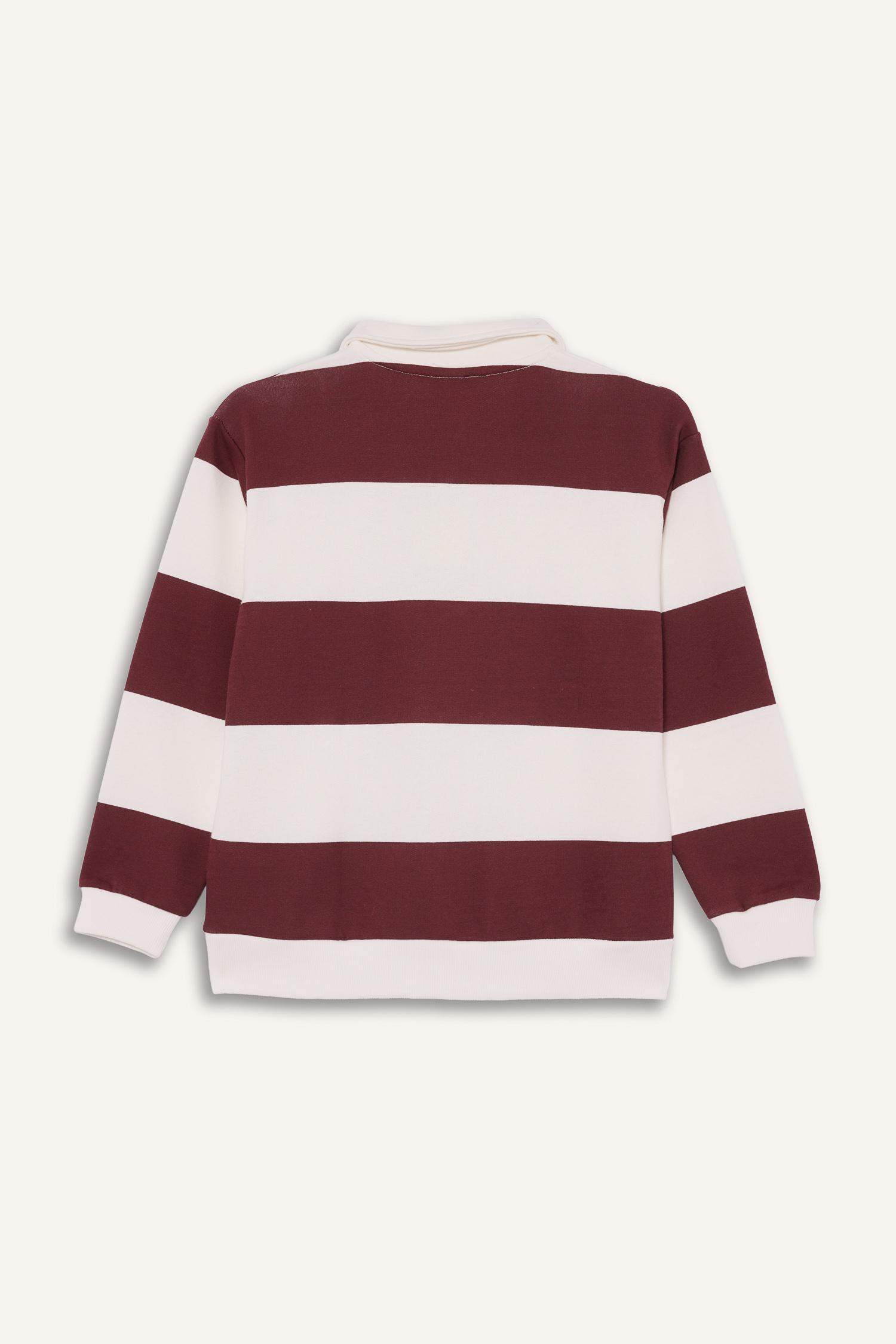 Regular Fit Polo Collar Sweatshirt