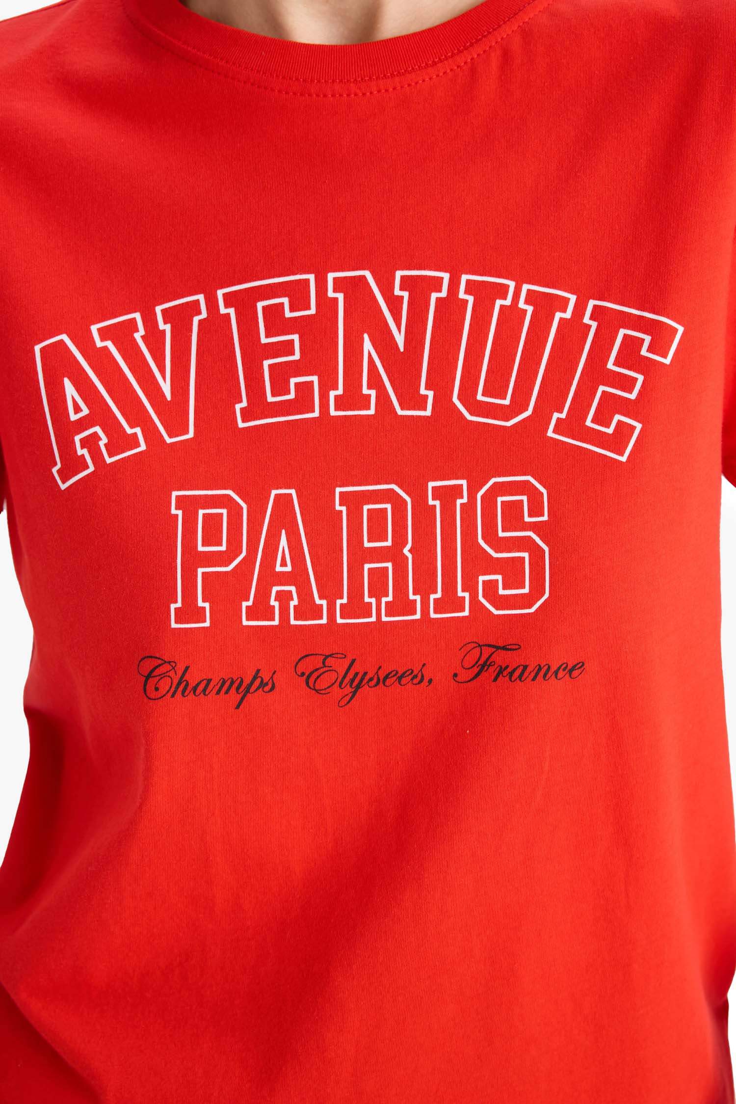 Regular Fit Bisiklet Yaka Baskılı Penye Kısa Kollu Tişört