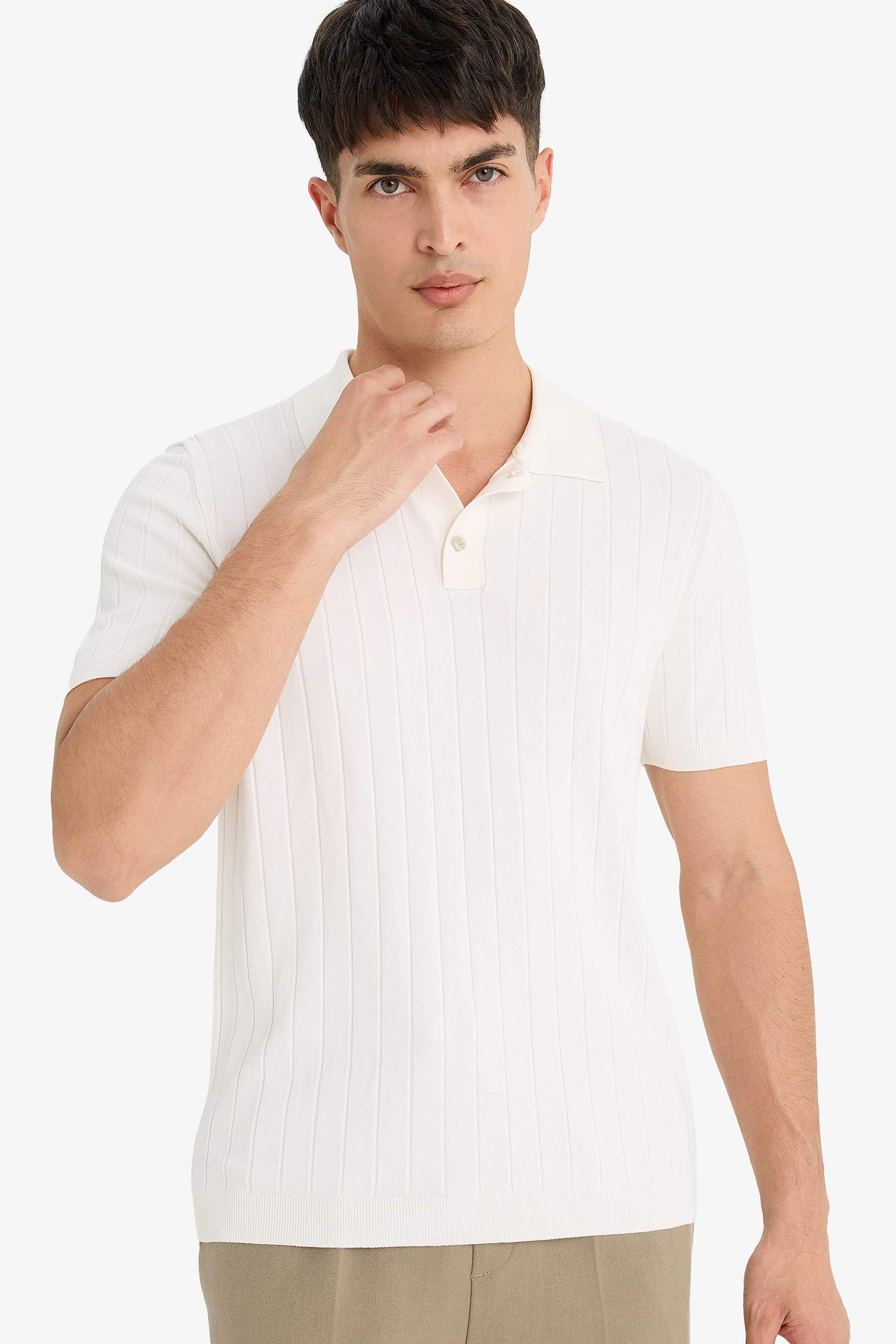 Standart Fit Polo Yaka Triko Kısa Kollu Tişört