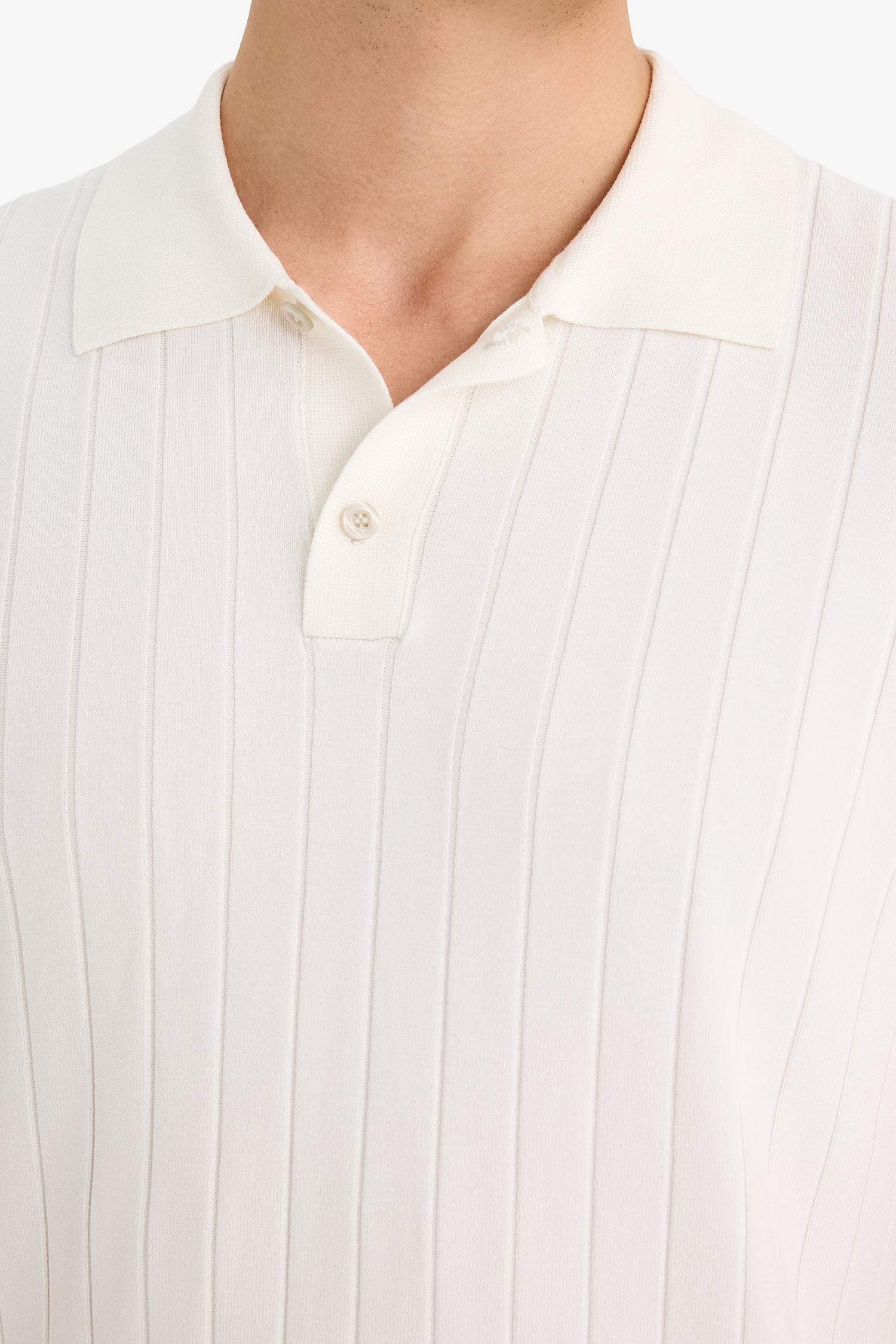 Standart Fit Polo Yaka Triko Kısa Kollu Tişört