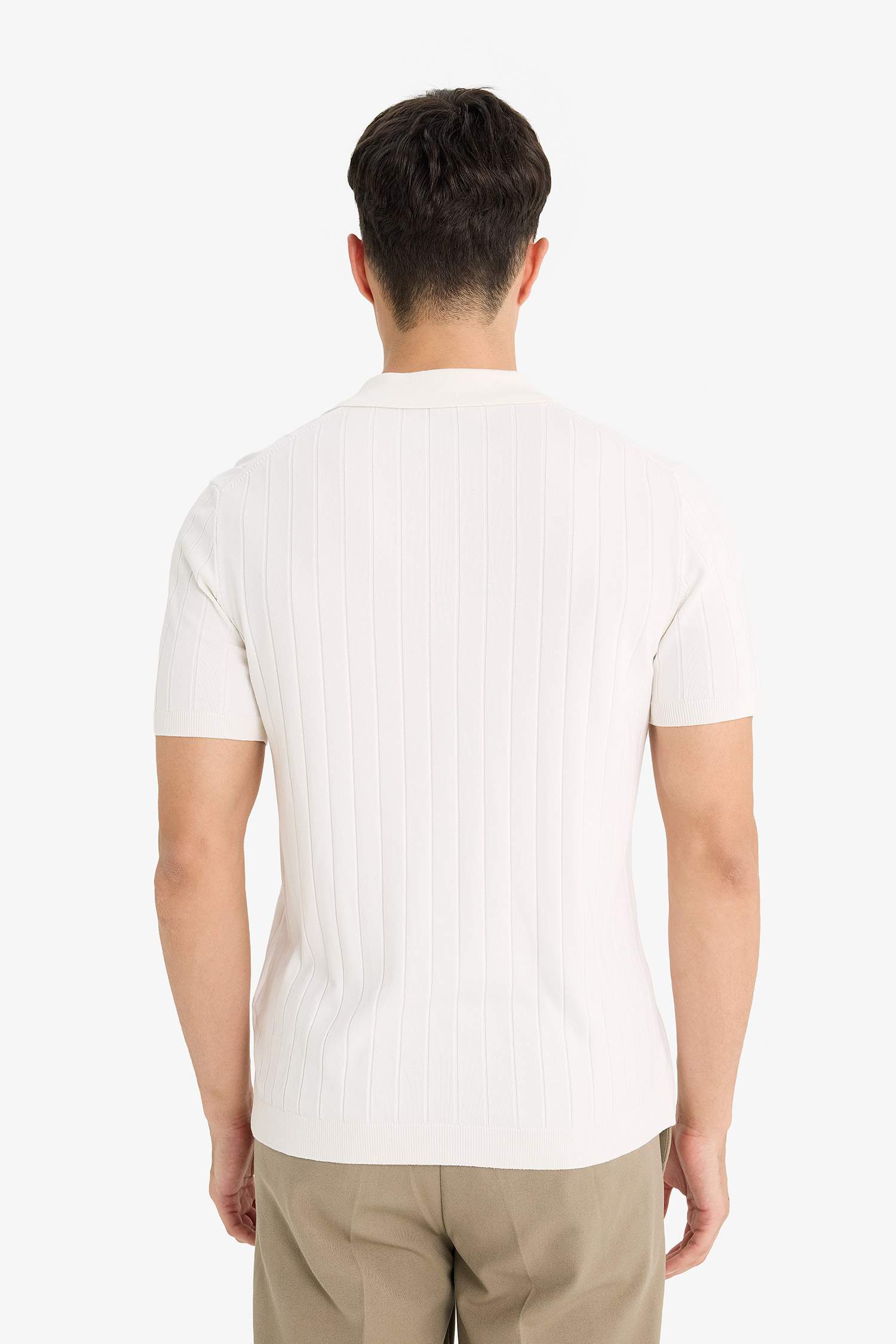 Standart Fit Polo Yaka Triko Kısa Kollu Tişört