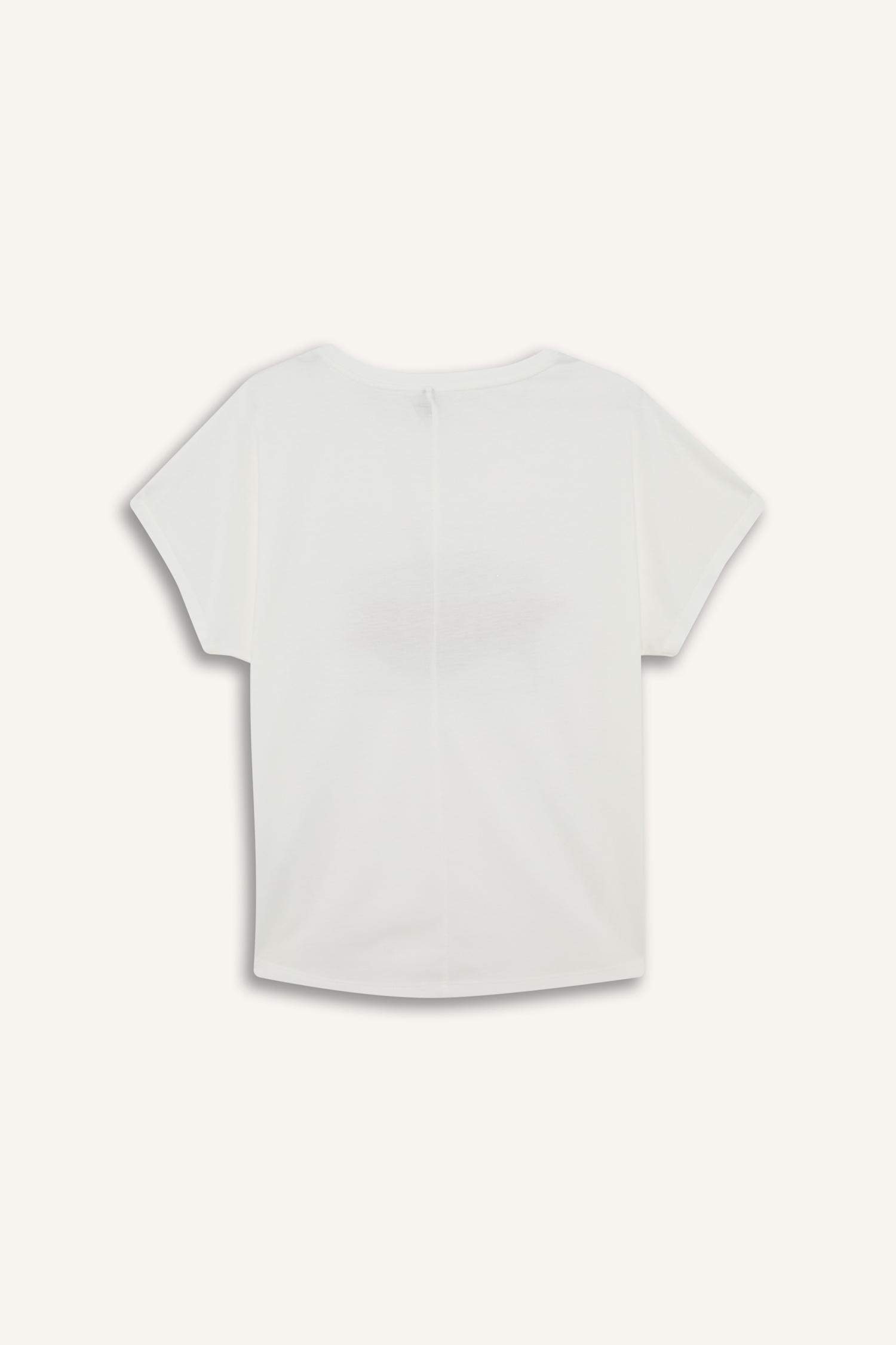 Regular Fit Bisiklet Yaka Baskılı Kısa Kollu Tişört