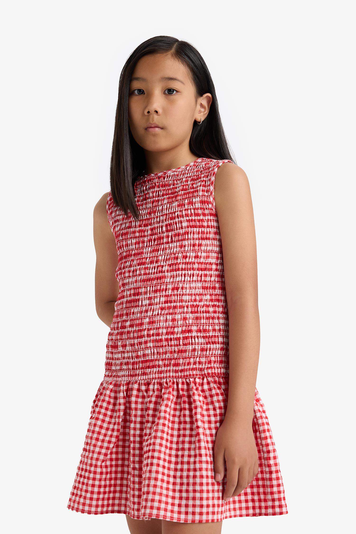 Girl Crew Neck Checkered Sleeveless Dress