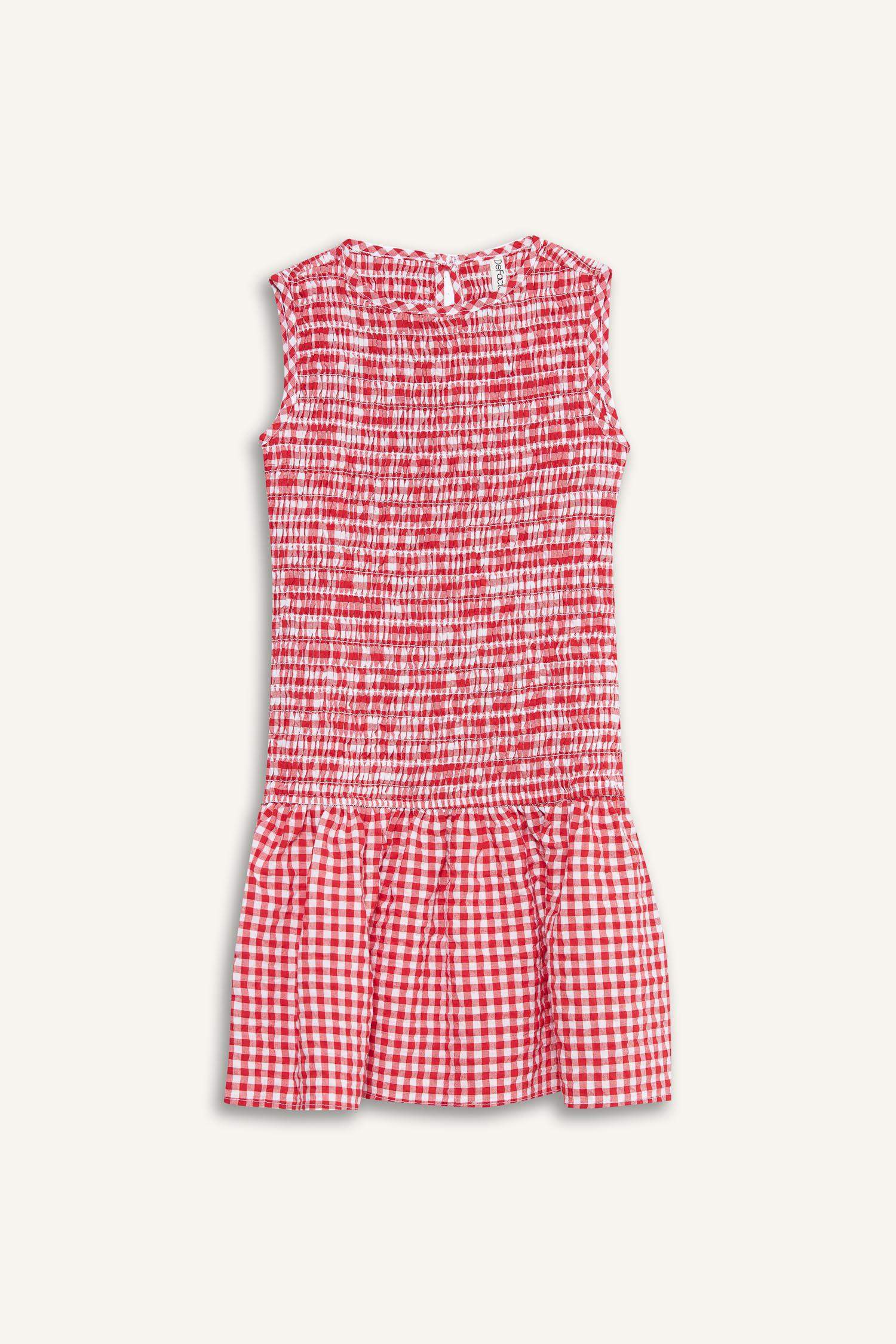 Girl Crew Neck Checkered Sleeveless Dress