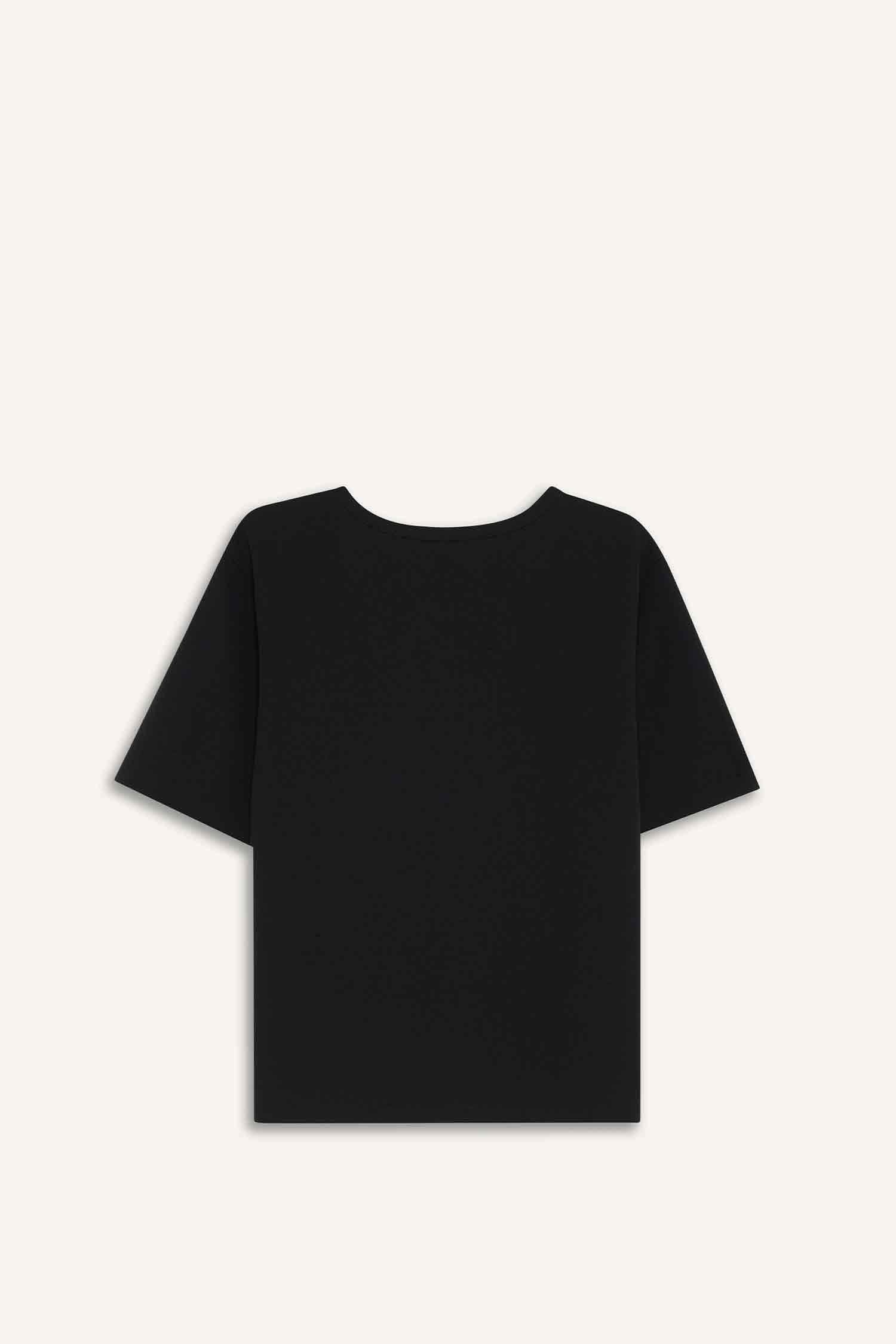 Regular Fit Crew Neck Embroidered Printed Crepe T-Shirt