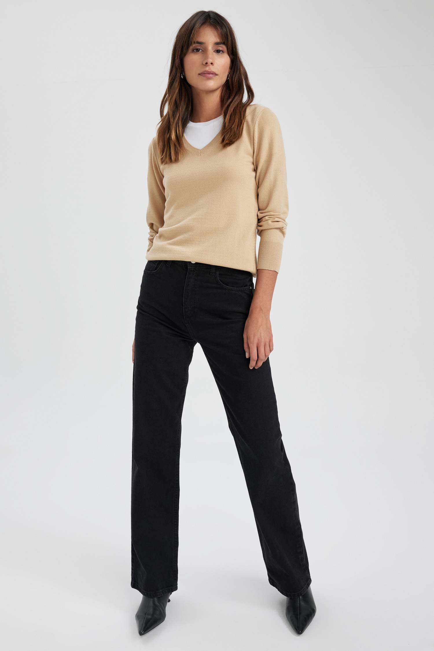 Regular Fit V-Neck Pullover
