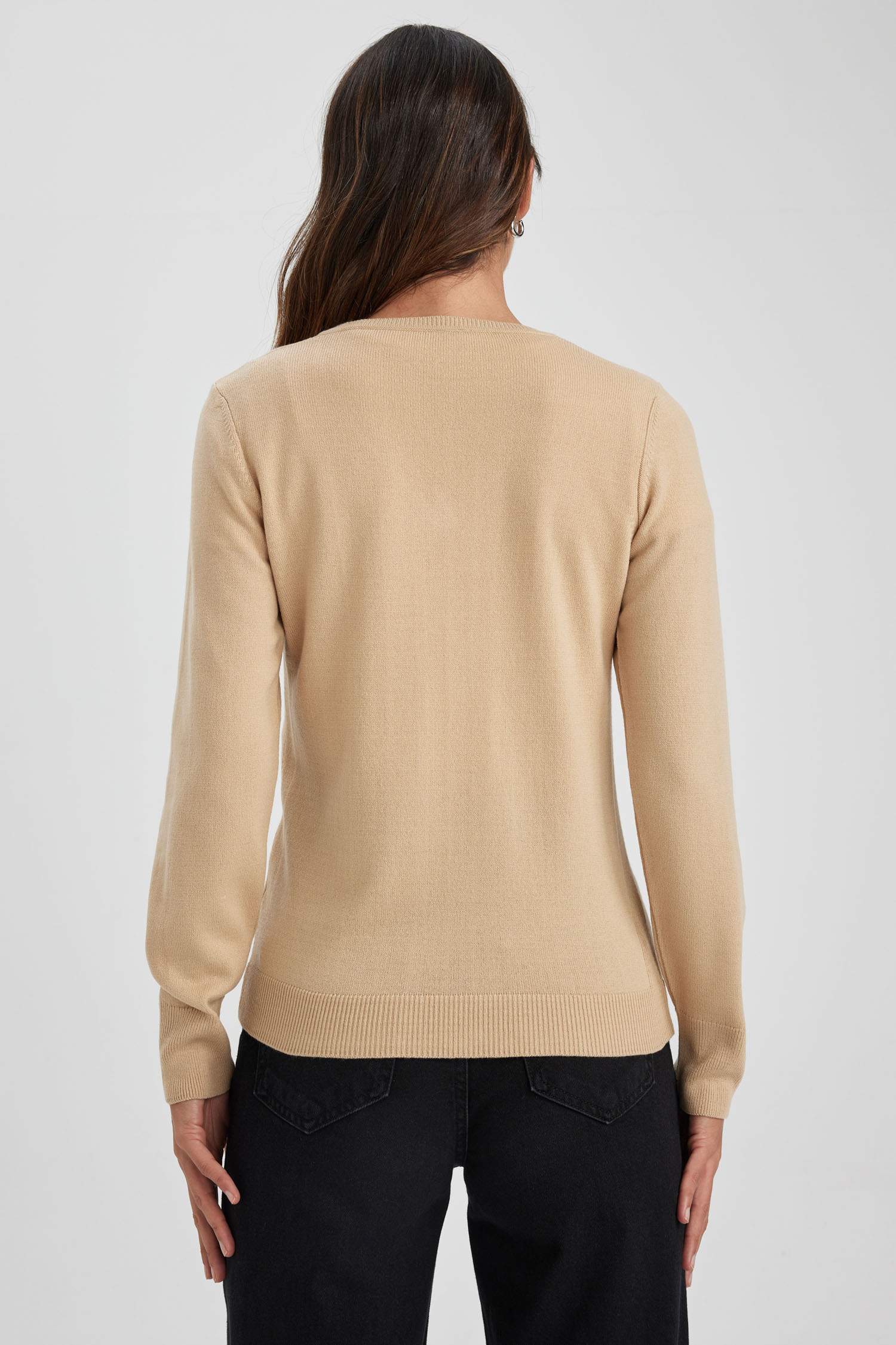 Regular Fit V-Neck Pullover