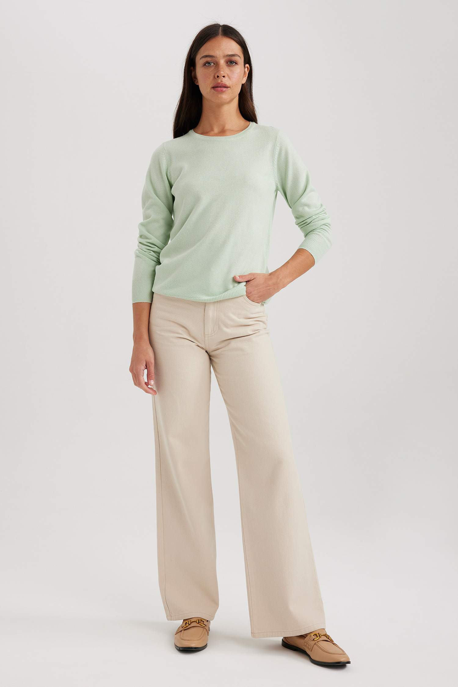 Regular Fit Crew Neck Pullover