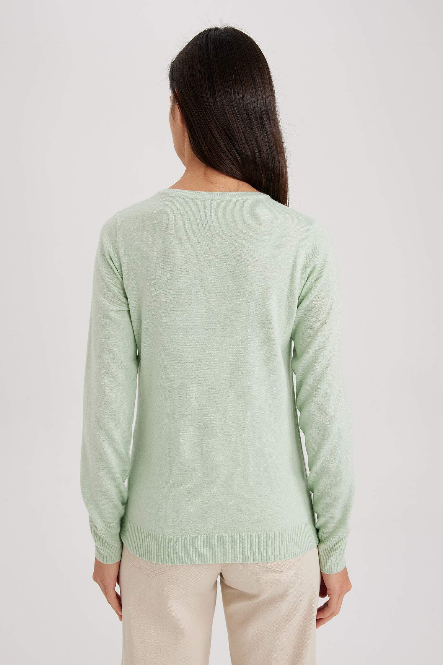 Regular Fit Crew Neck Pullover