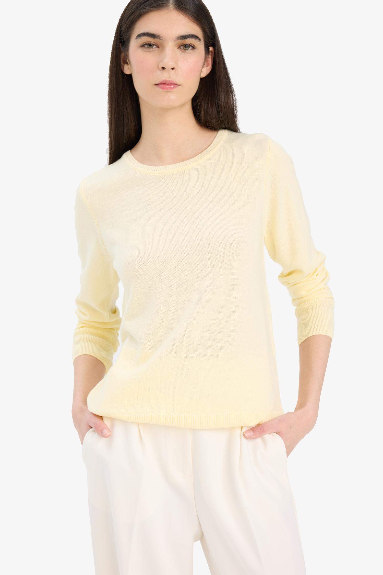 Regular Fit Crew Neck Knitwear Pullover