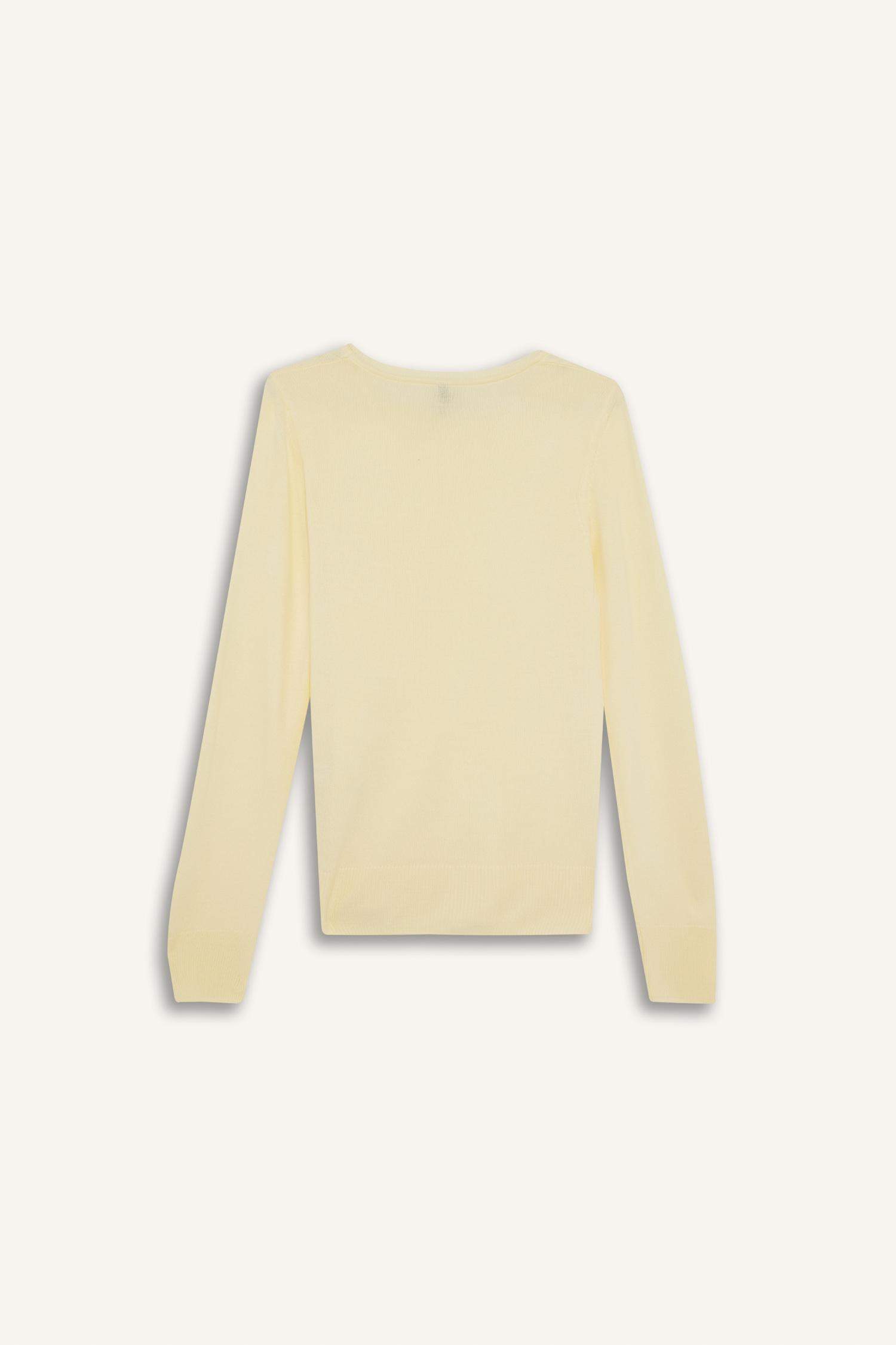 Regular Fit Crew Neck Knitwear Pullover