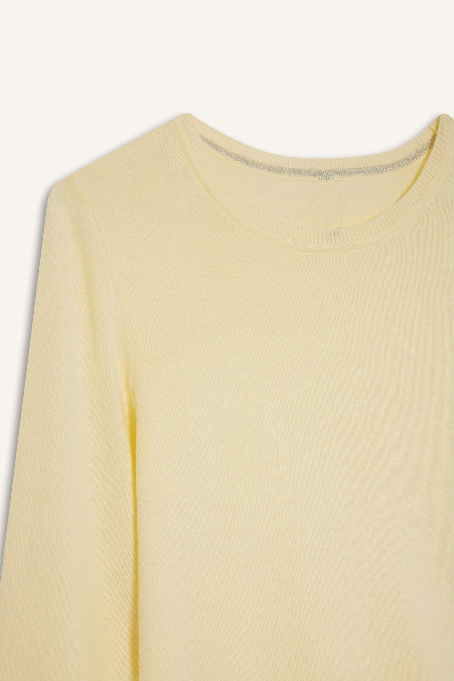 Regular Fit Crew Neck Knitwear Pullover