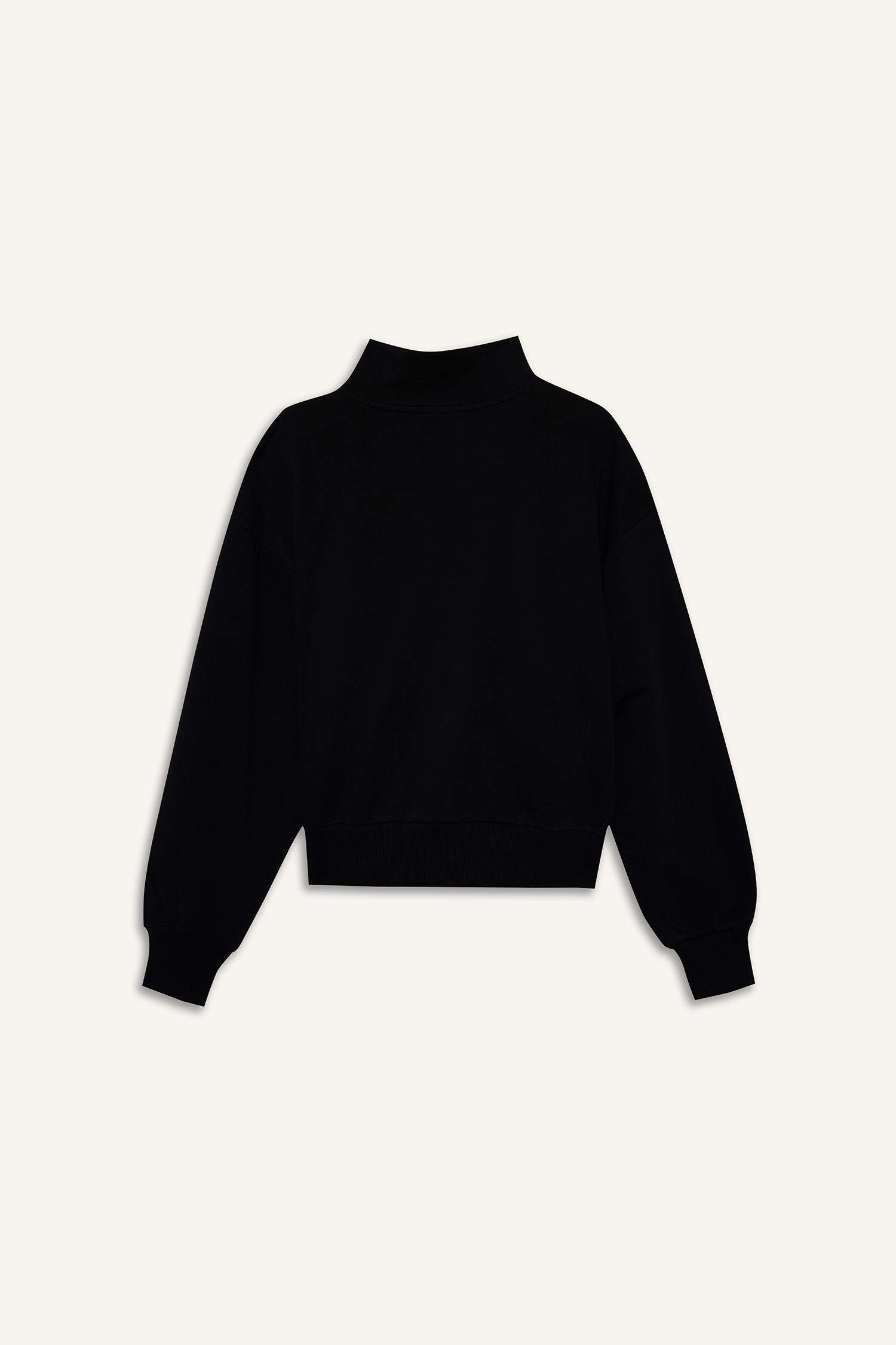 كارديجان بيزك قصة عادية بسوسته