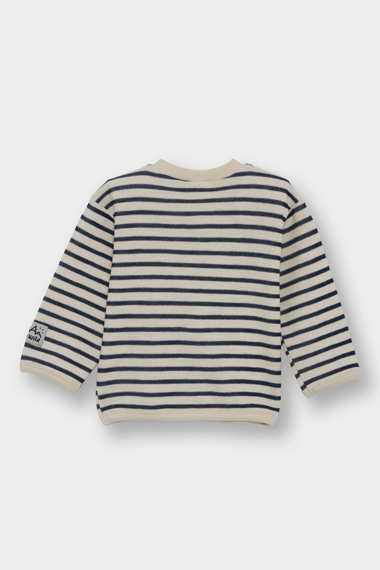 Baby Boy Crew Neck Striped Sweatshirt