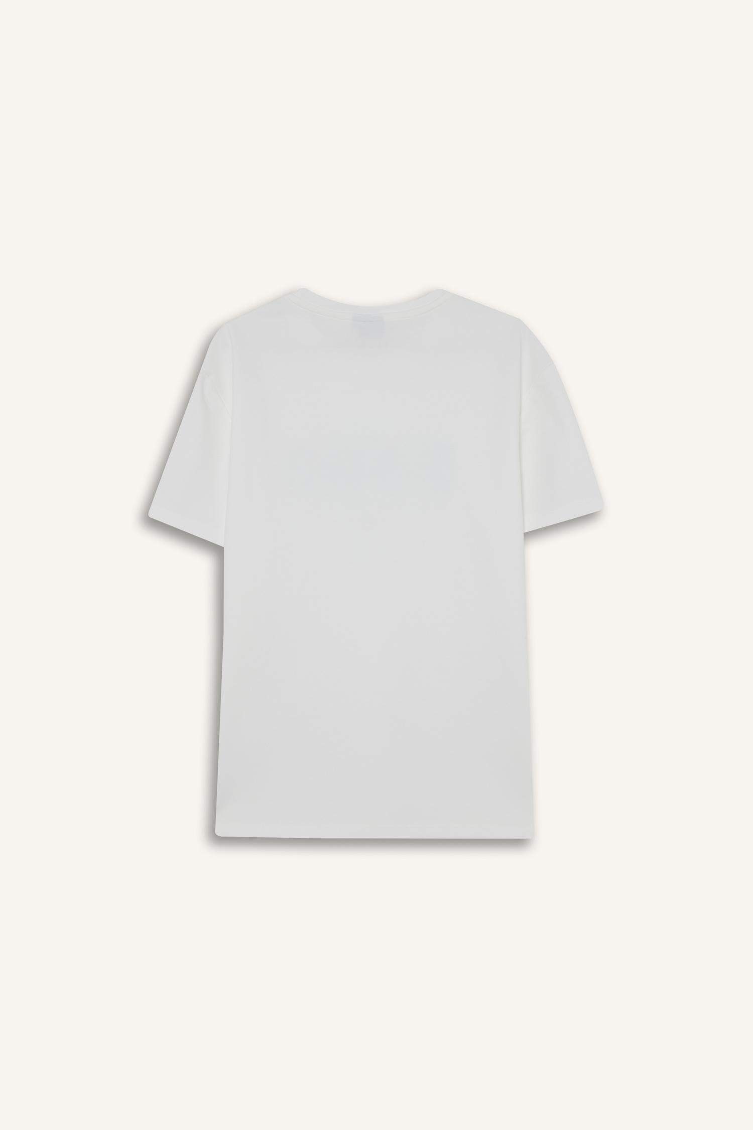 DeFactoFit NBA Boston Celtics Standard Fit T-Shirt