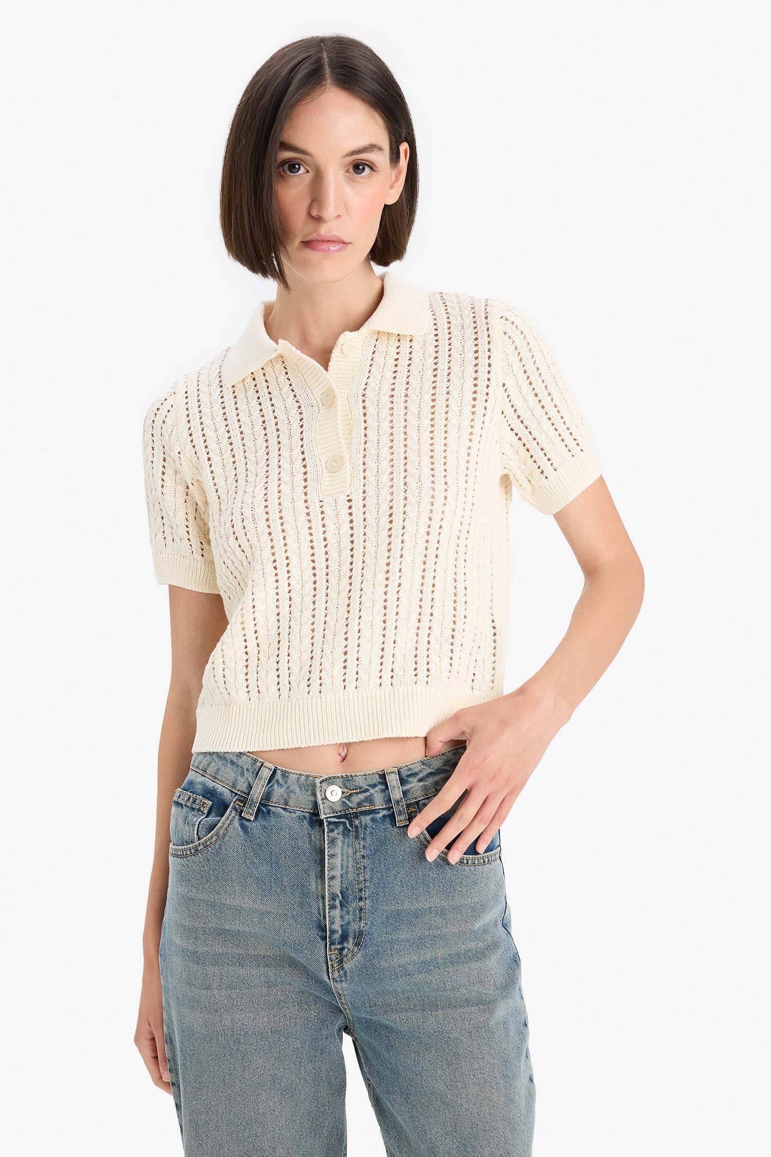 Regular Fit Polo Collar Knitwear Pullover