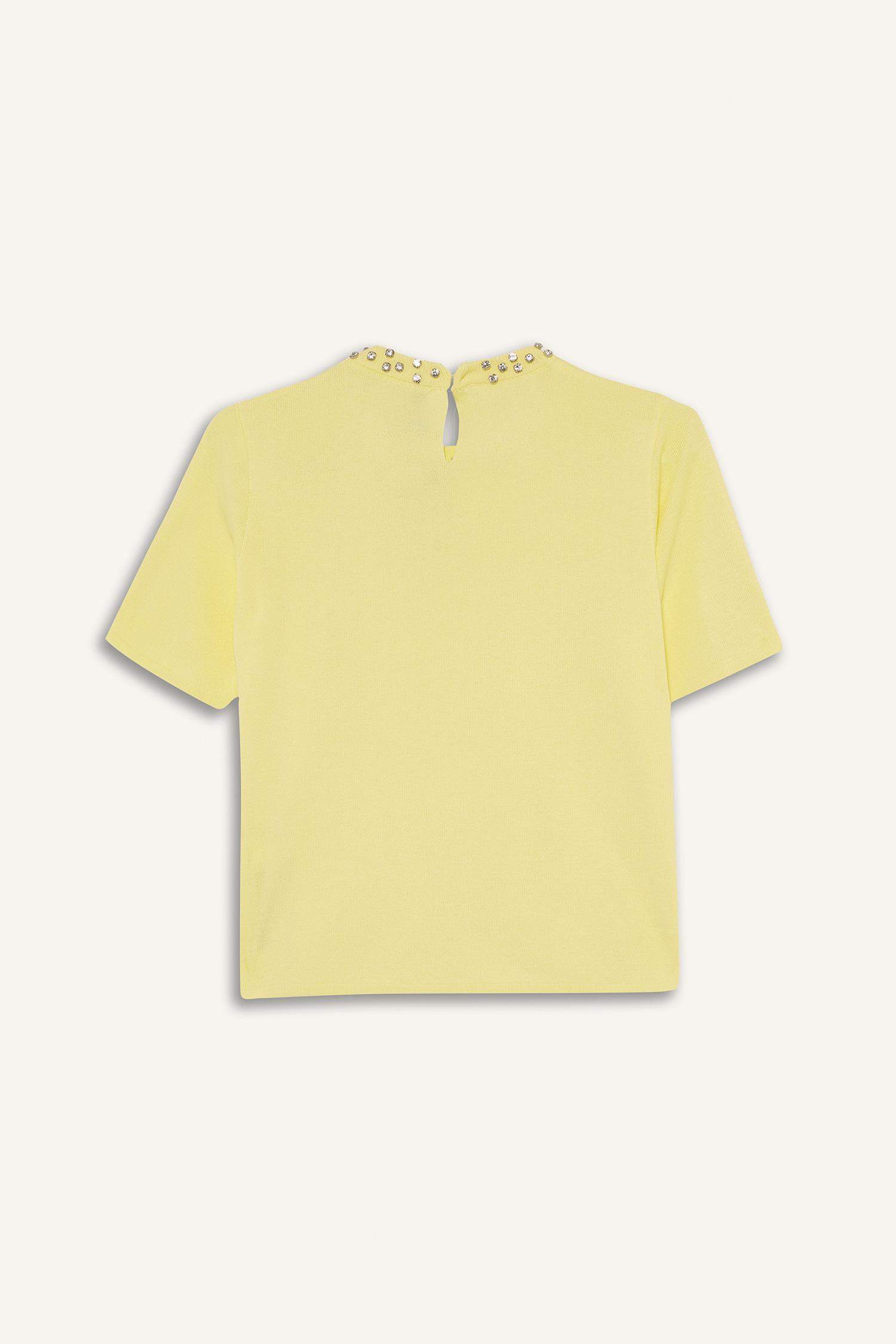 Regular Fit Bisiklet Yaka İşlemeli Krep Kısa Kollu Triko Kazak