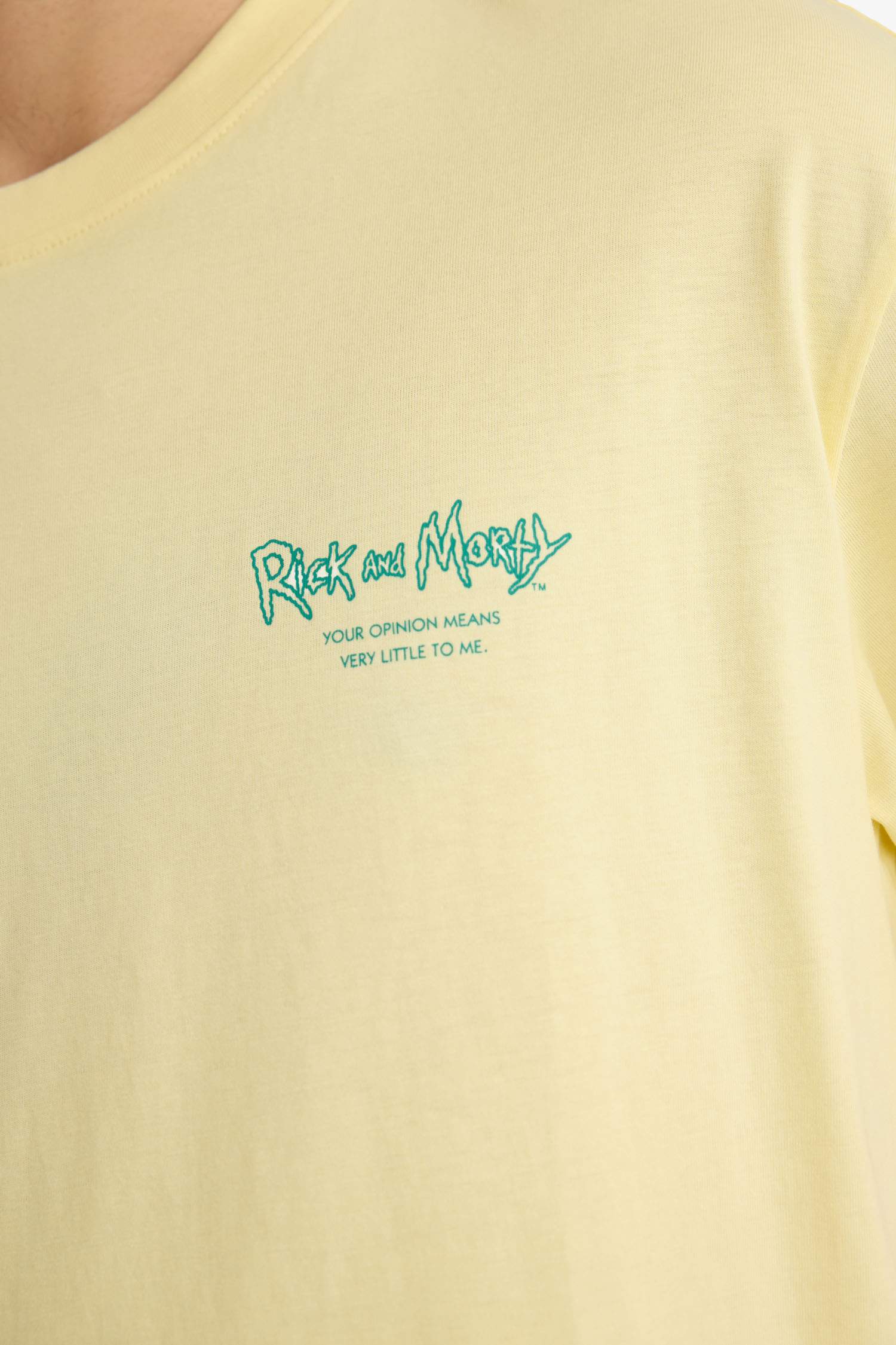 Boxy Fit Rick and Morty Licensed Crew Neck Short Sleeve T-Shirt