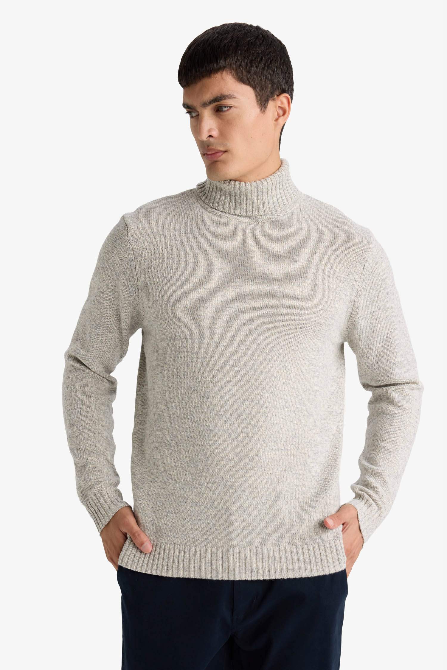 Pull en maille à col polo Coupe standard