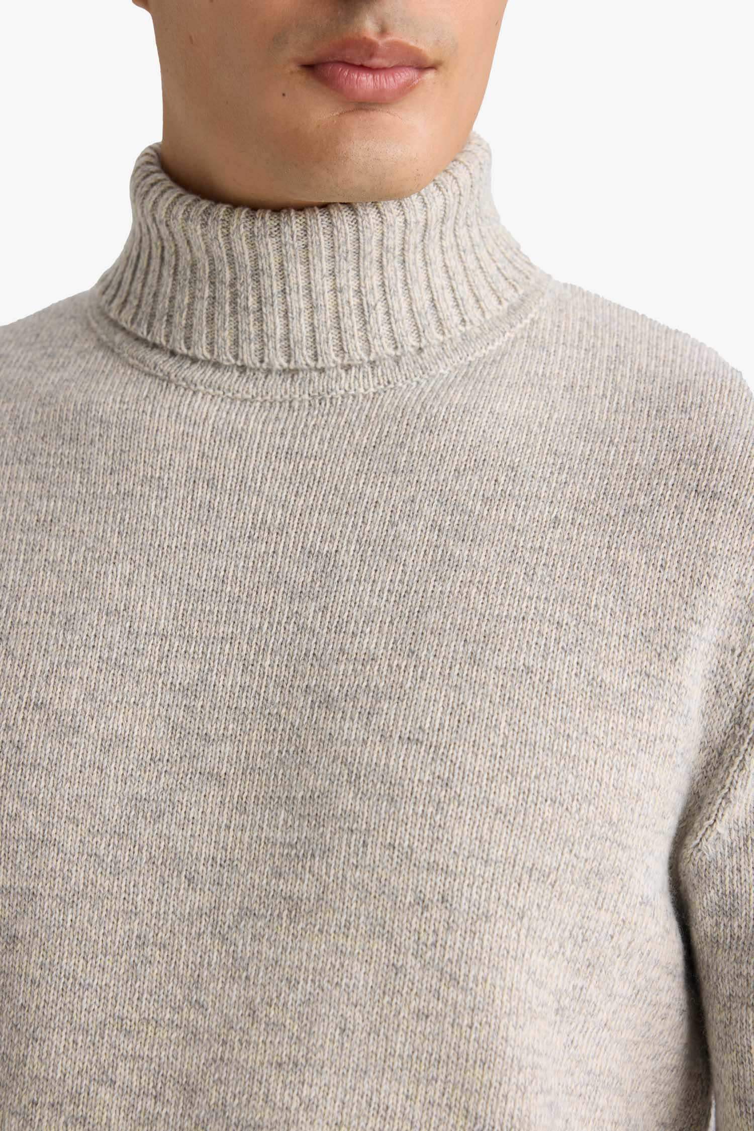 Standard Fit Turtleneck Knitwear Pullover