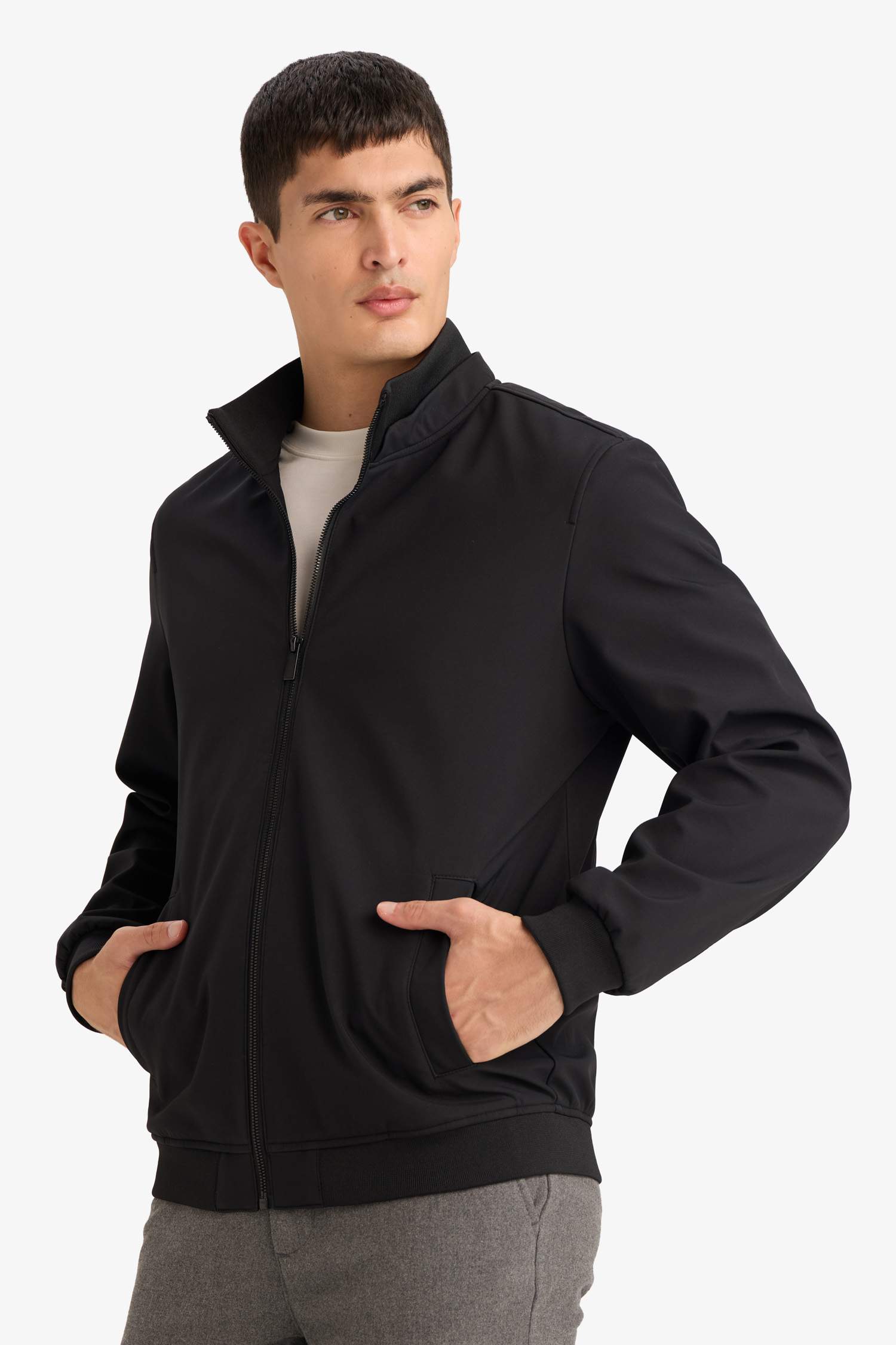 جاكيت قصة عادية بياخة عالية