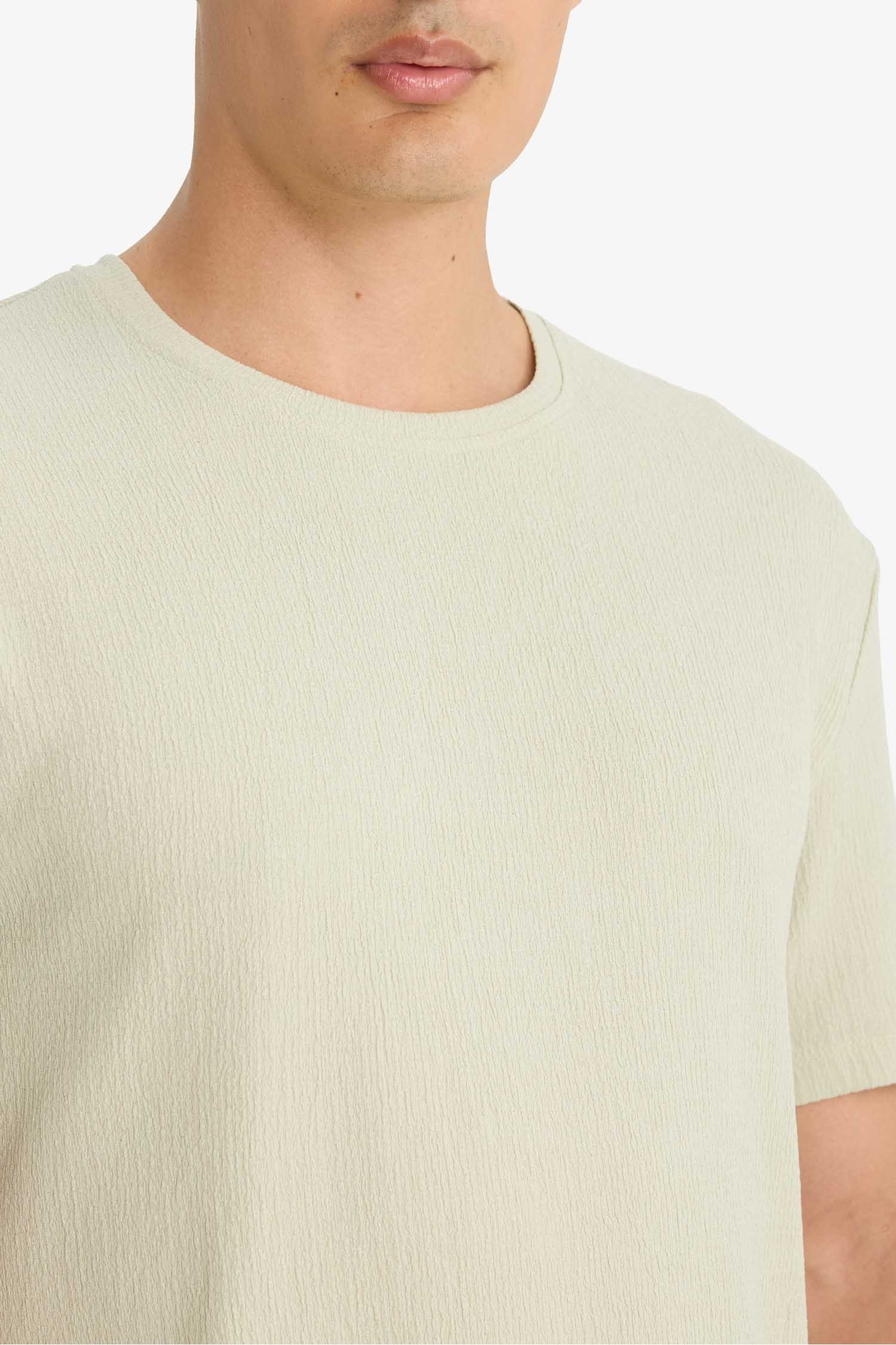 Regular Fit Bisiklet Yaka Dokulu Kısa Kollu Tişört