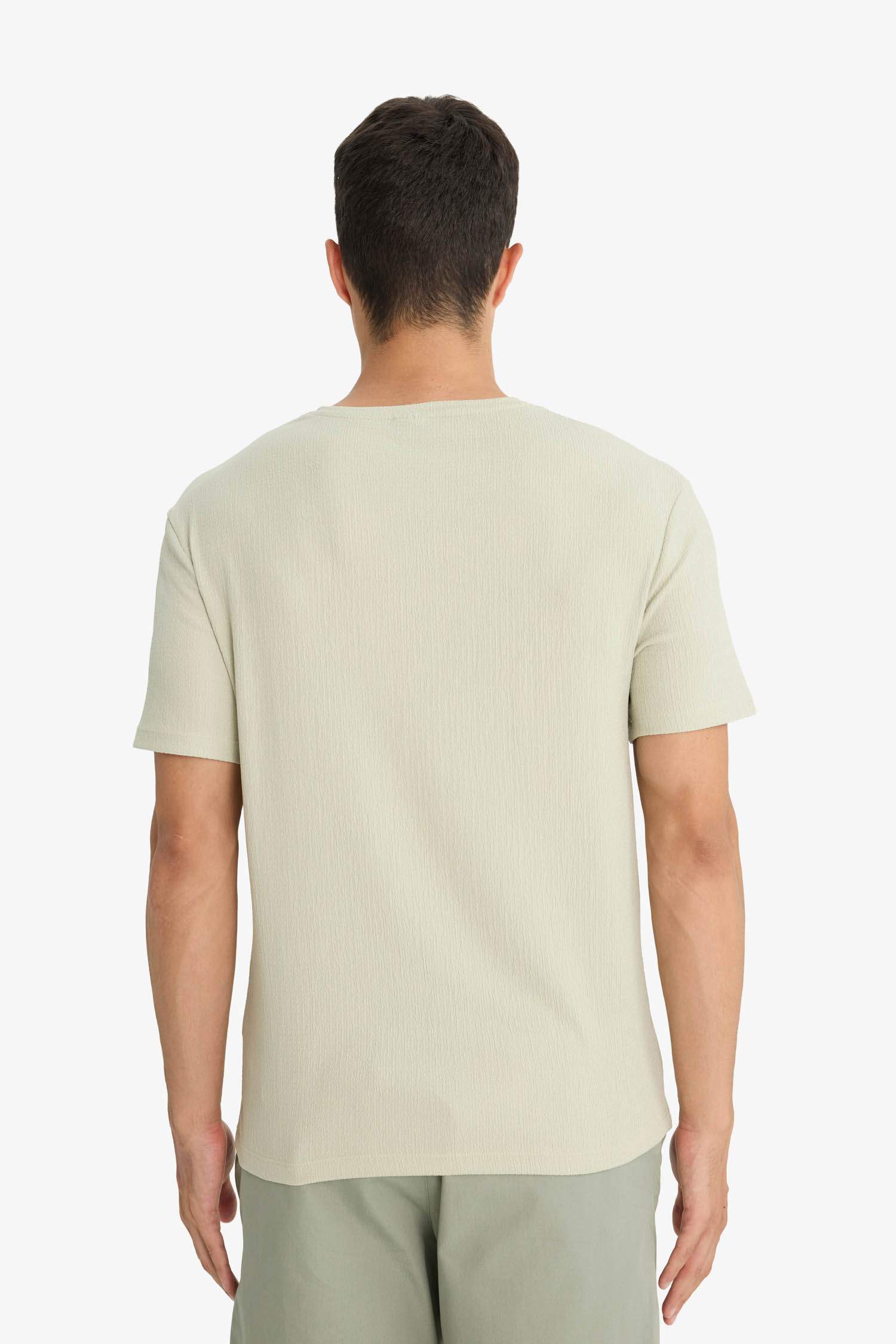 Regular Fit Bisiklet Yaka Dokulu Kısa Kollu Tişört