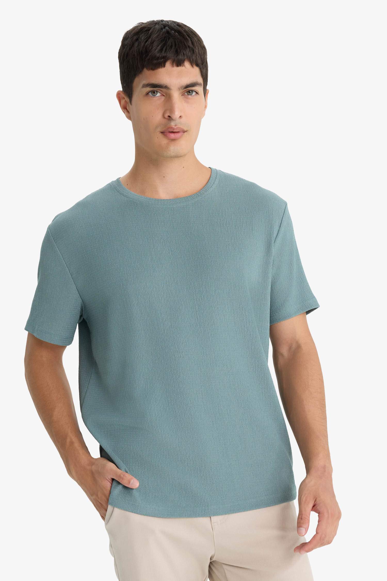 Regular Fit Bisiklet Yaka Dokulu Kısa Kollu Tişört