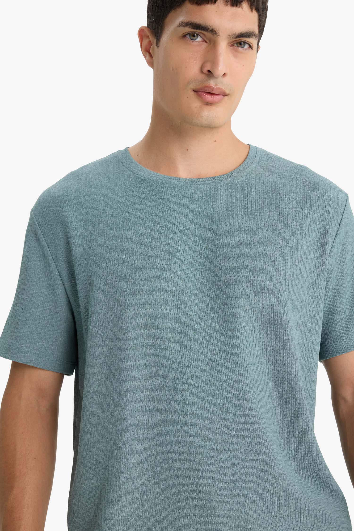 Regular Fit Bisiklet Yaka Dokulu Kısa Kollu Tişört