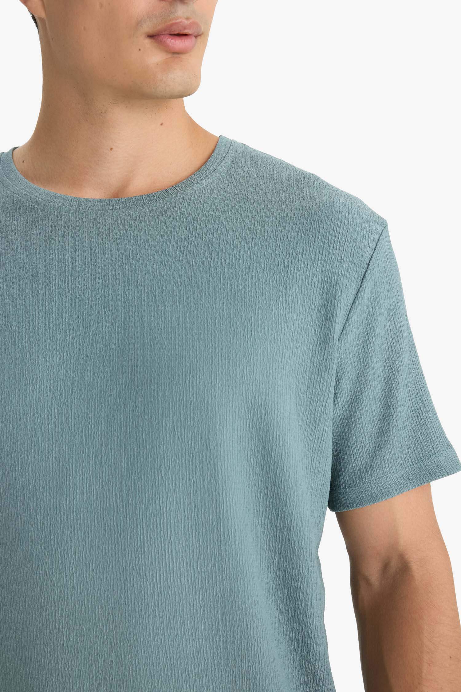 Regular Fit Bisiklet Yaka Dokulu Kısa Kollu Tişört