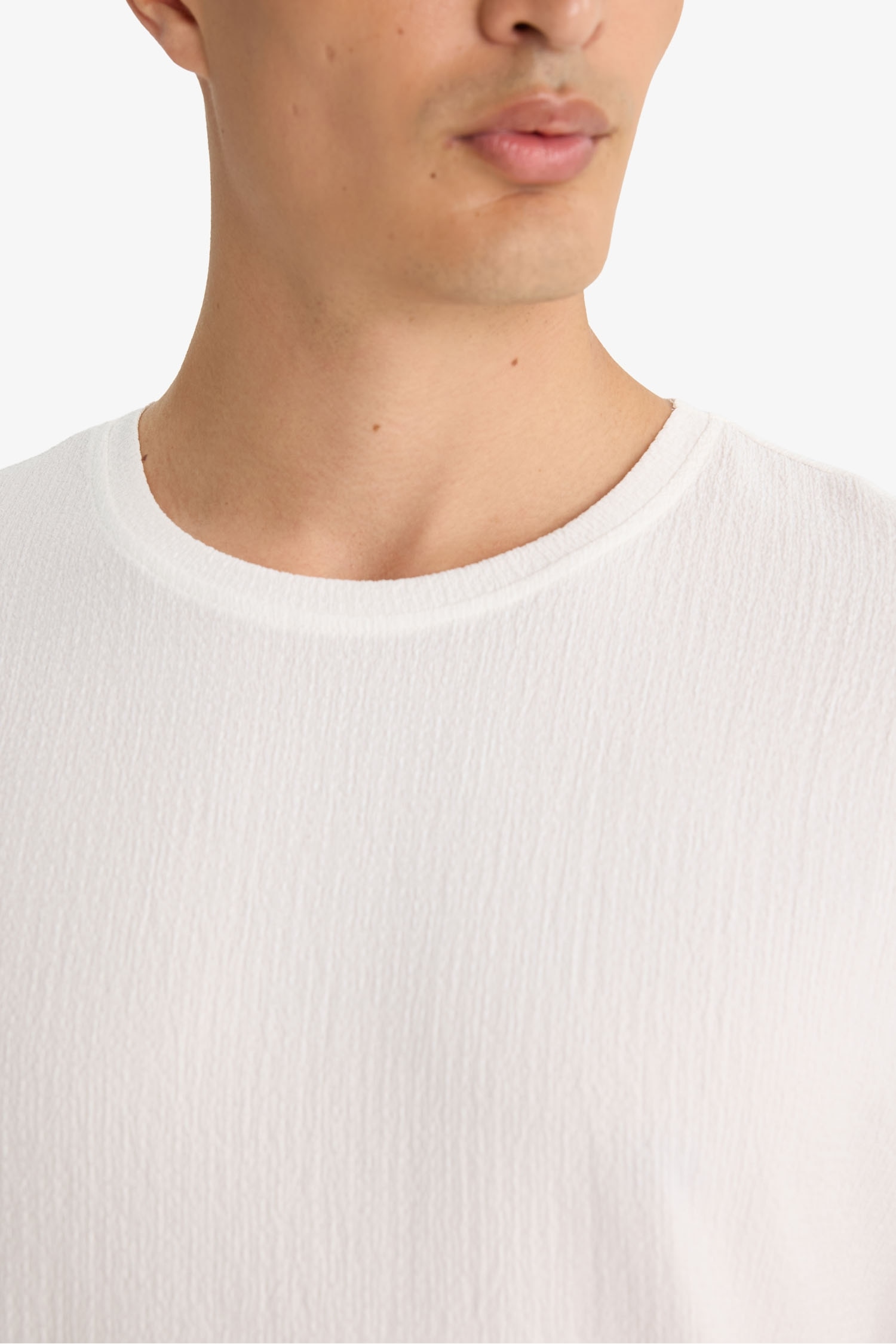 Regular Fit Bisiklet Yaka Dokulu Kısa Kollu Tişört