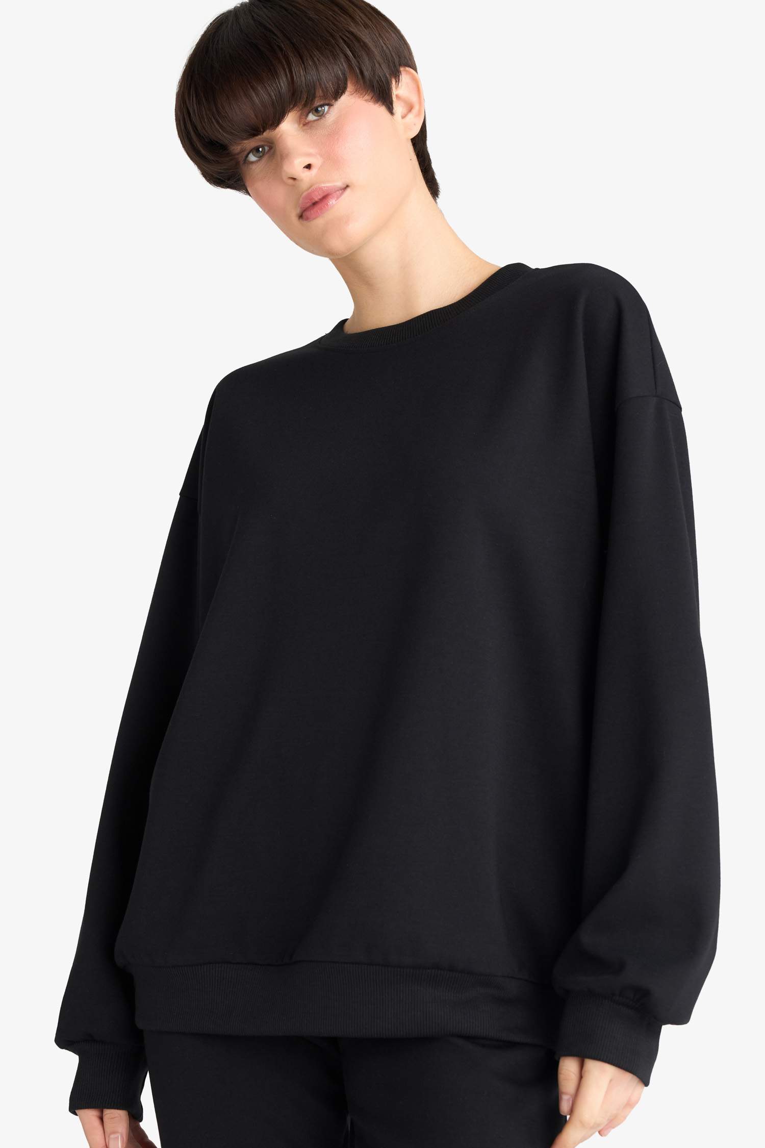 Regular Fit Sweatshirt