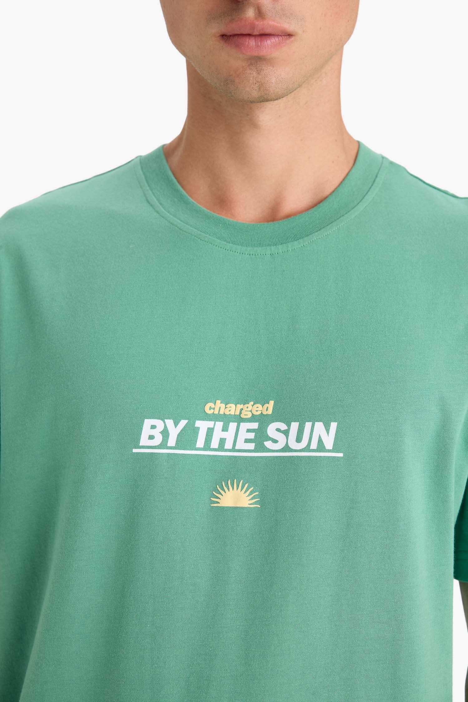 %100 Pamuk Regular Fit Bisiklet Yaka Baskılı Kısa Kollu Tişört