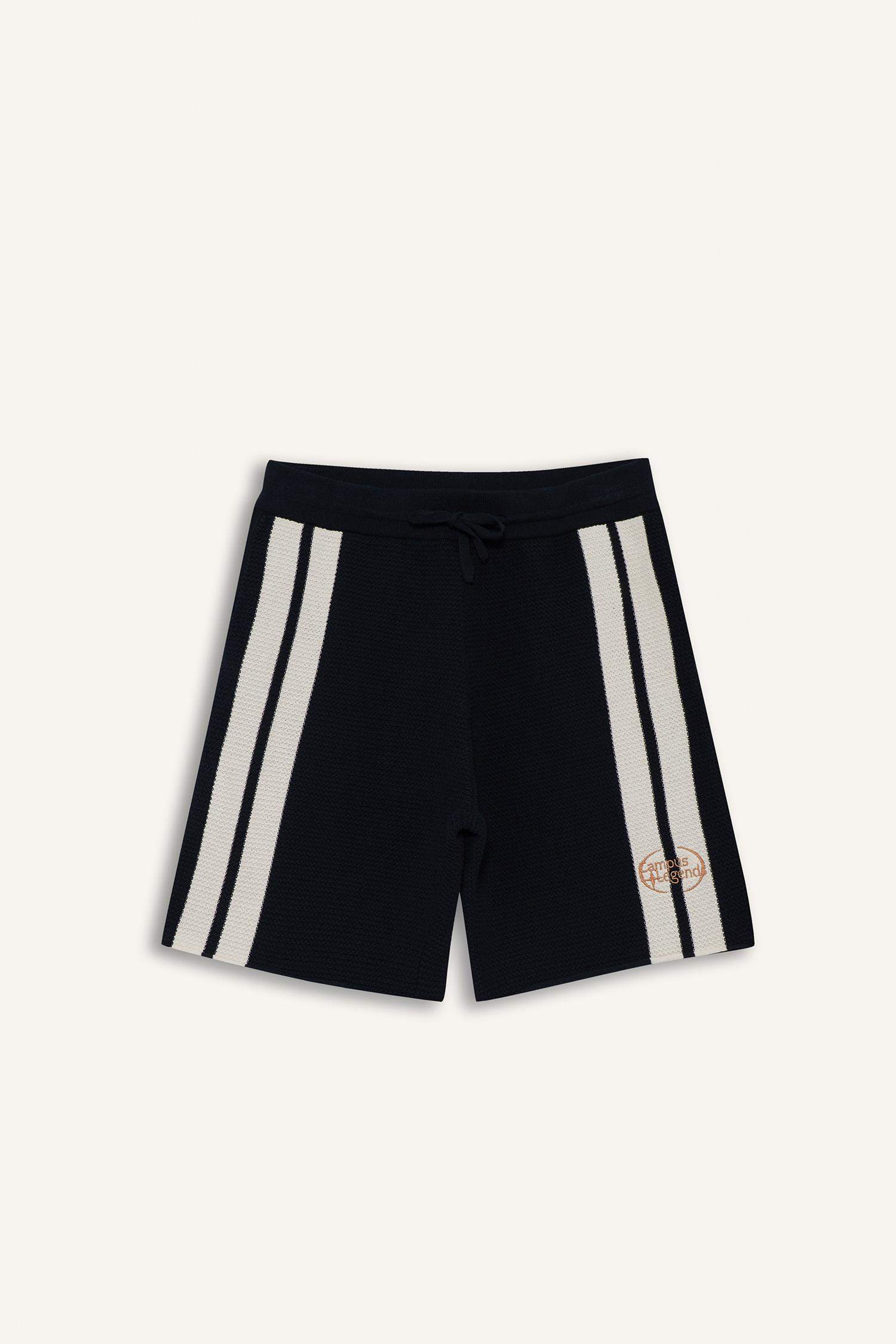 Standart Fit Beli Bağcıklı Renk Bloklu Triko Şort