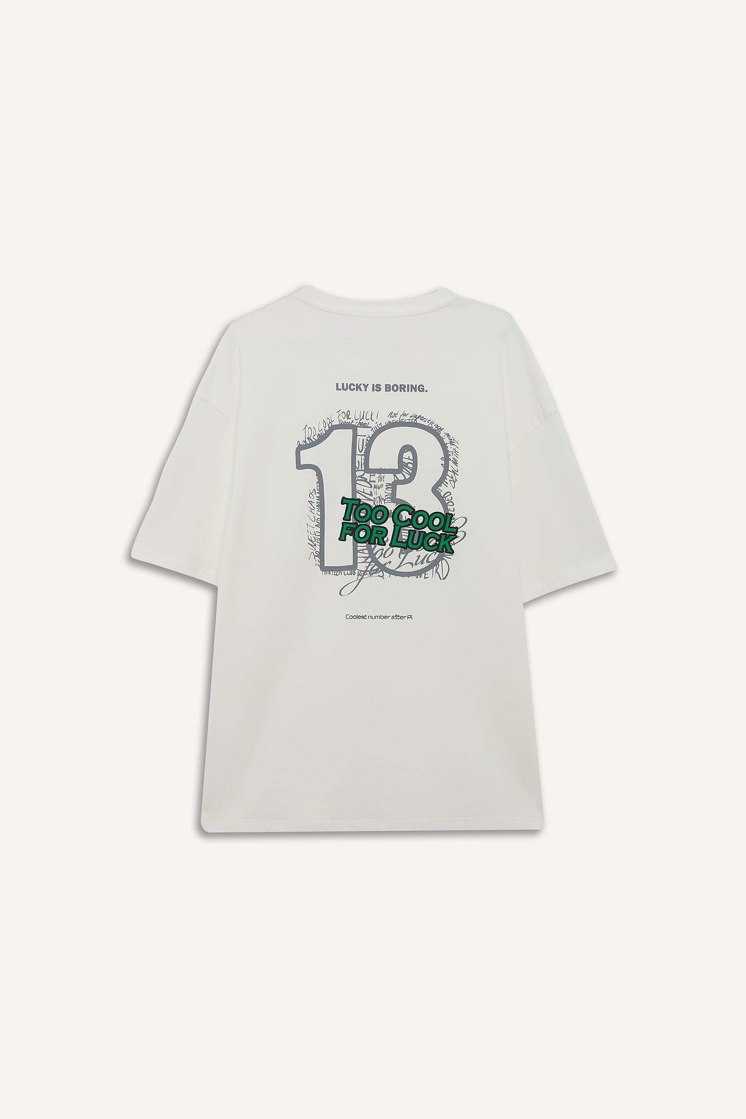 Boxy Fit Crew Neck Printed Short Sleeve T-Shirt