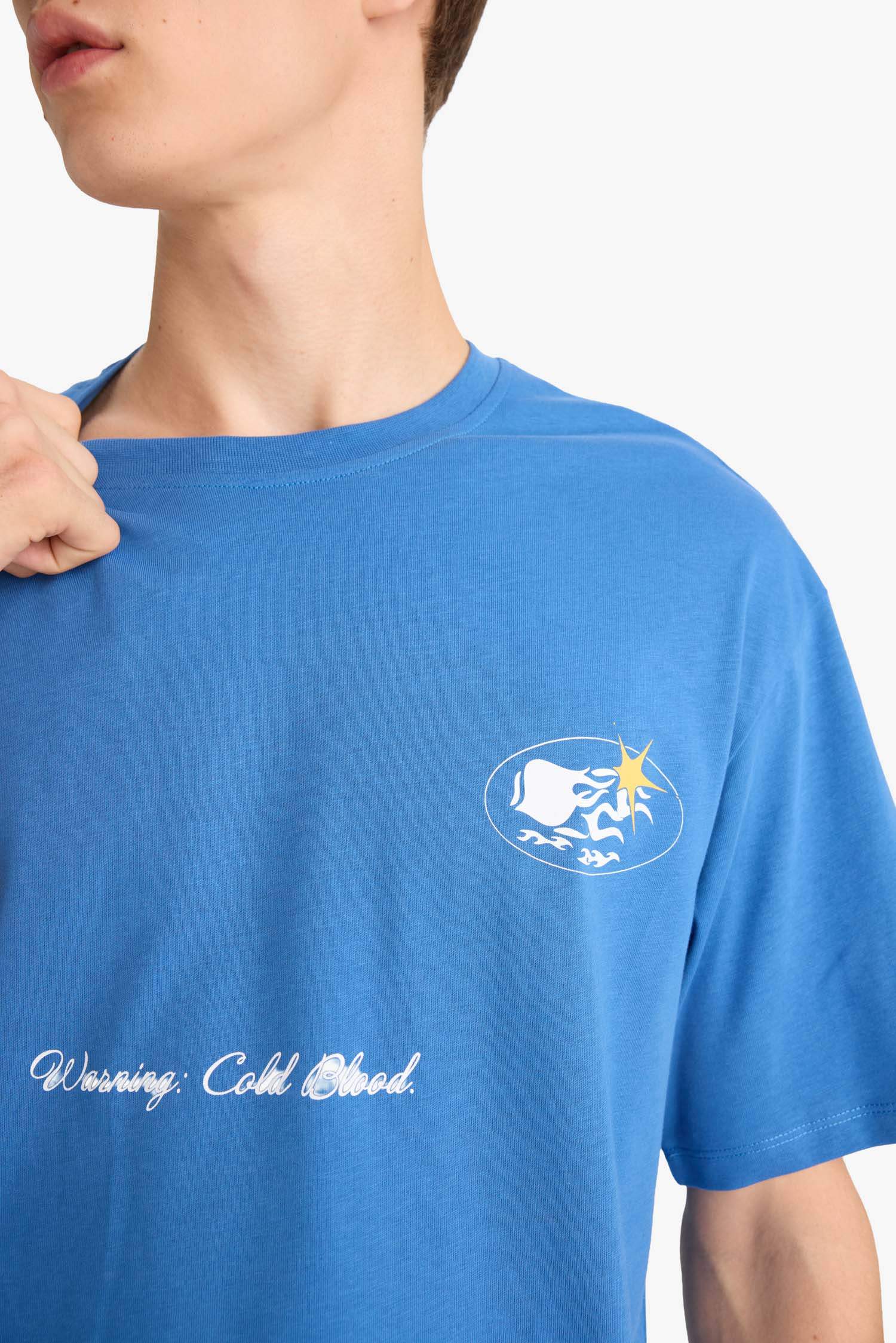 Boxy Fit Bisiklet Yaka Baskılı Kısa Kollu Tişört