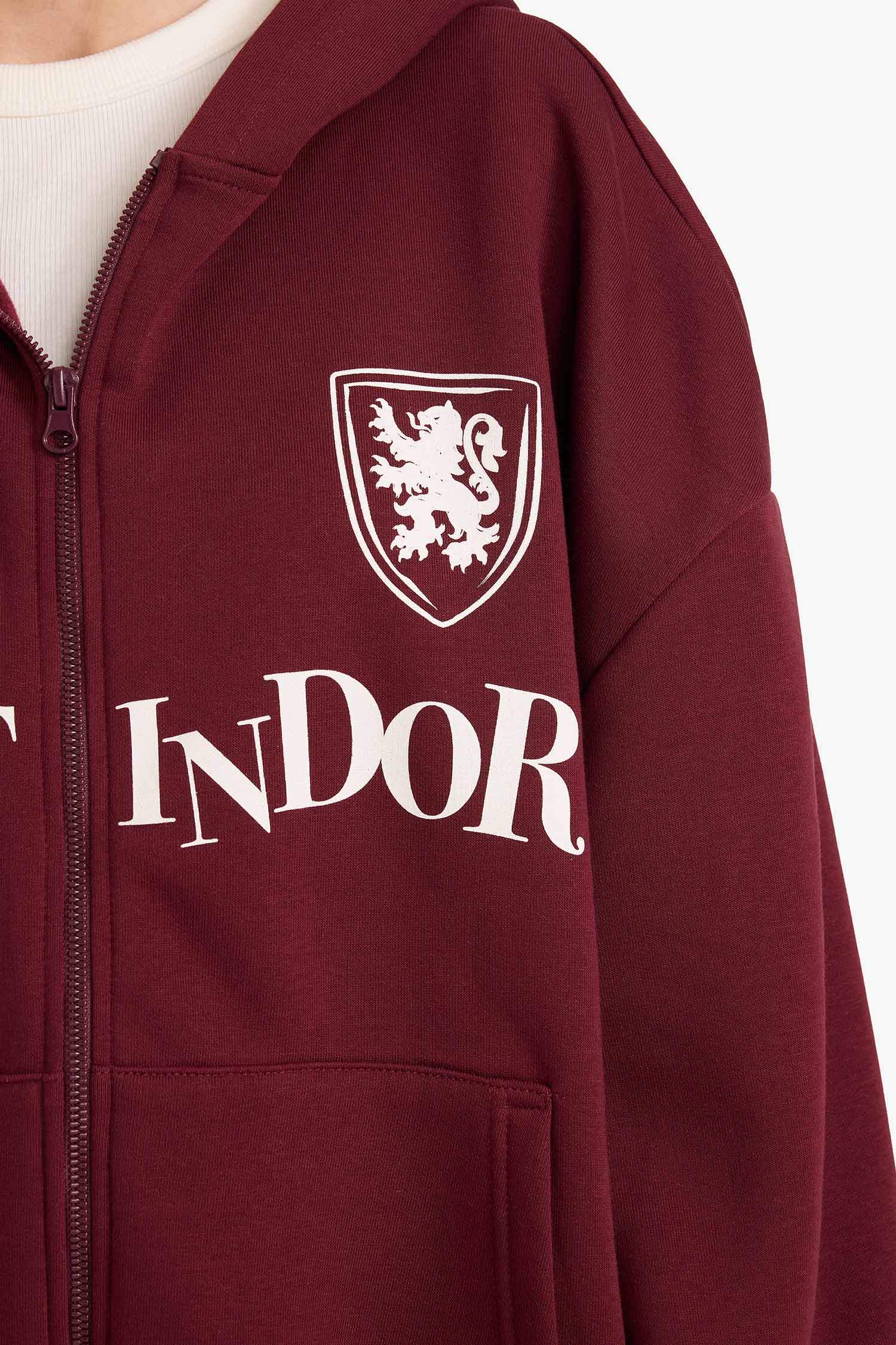 Coool Harry Potter Oversize Geniş Kalıp Kapüşonlu Fermuarlı Sweatshirt 