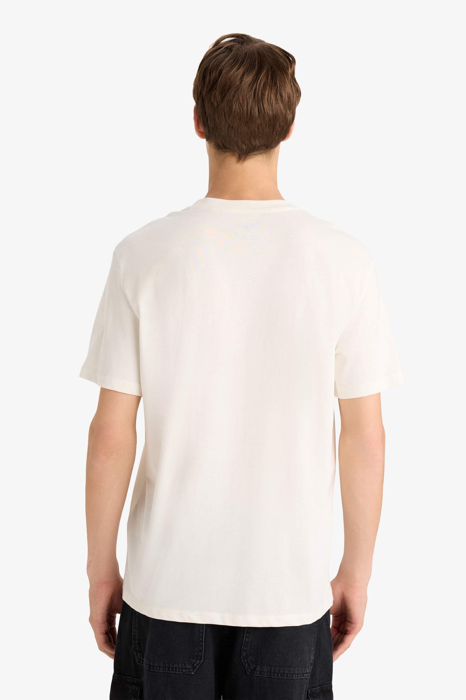 Regular Fit Bisiklet Yaka Baskılı Kısa Kollu Tişört