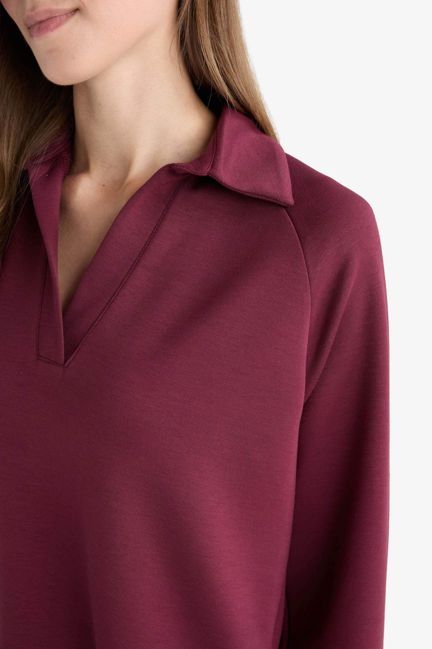 Tunique à col polo et manches longues Coupe régulière