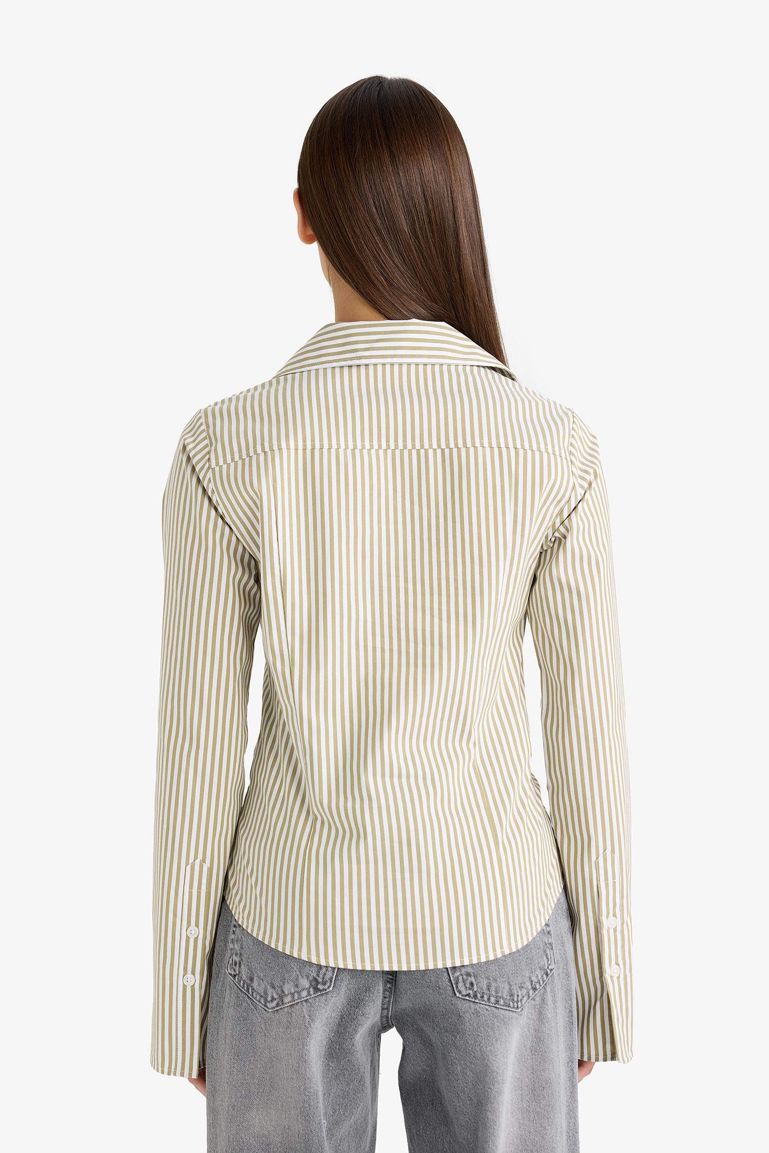 Fitted Poplin Long Sleeve Striped Shirt