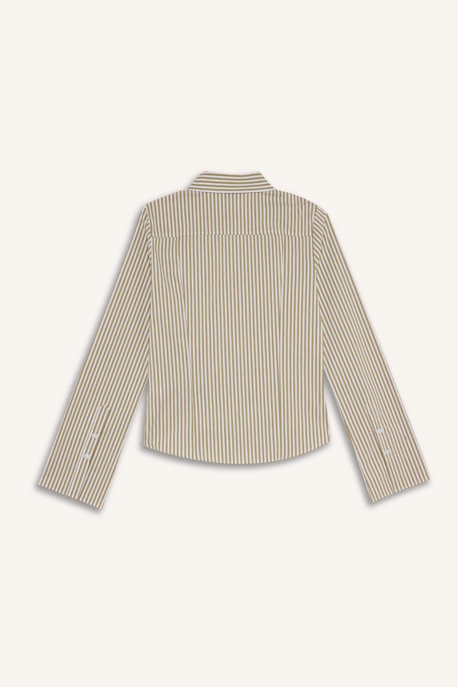 Fitted Poplin Long Sleeve Striped Shirt