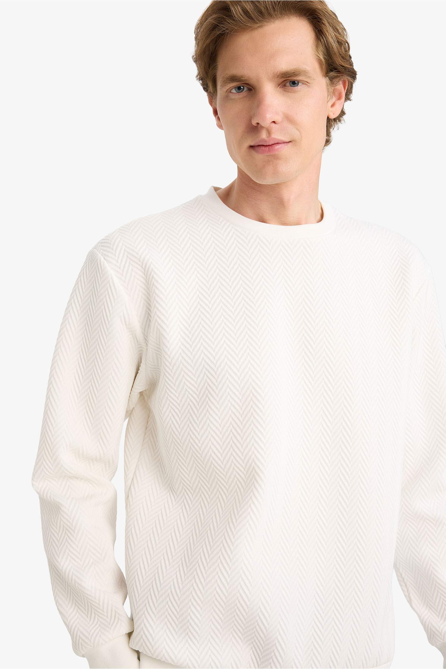 Regular Fit Bisiklet Yaka Sweatshirt