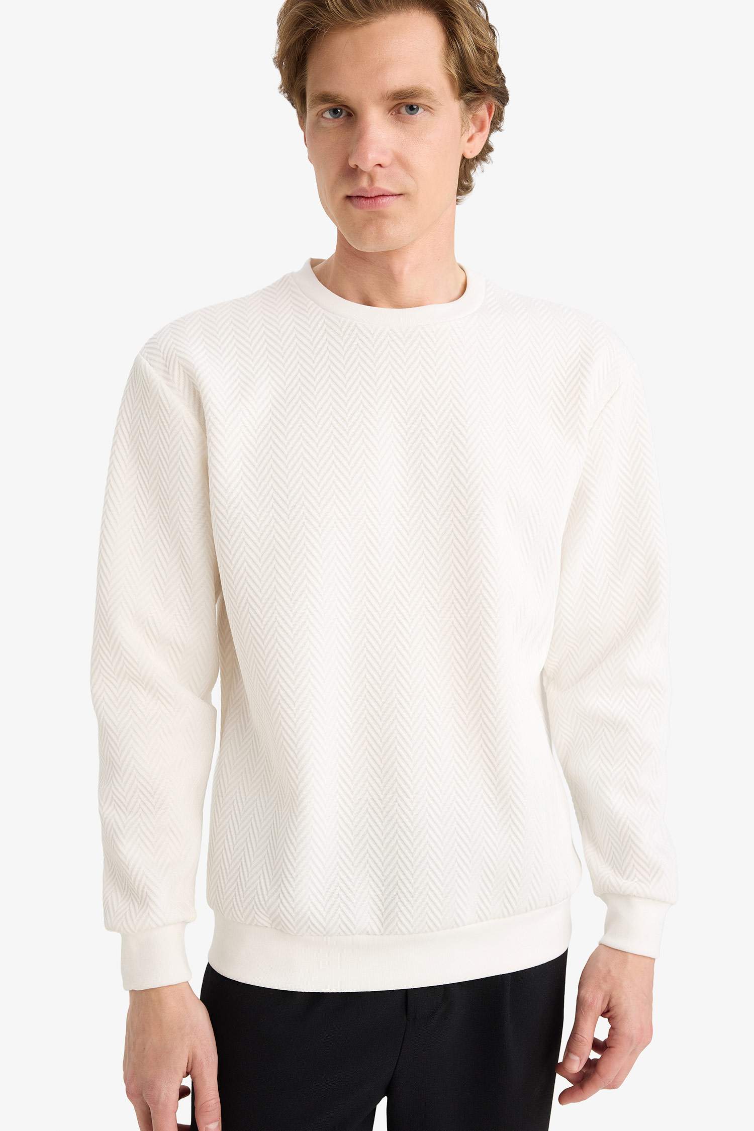 Regular Fit Bisiklet Yaka Sweatshirt