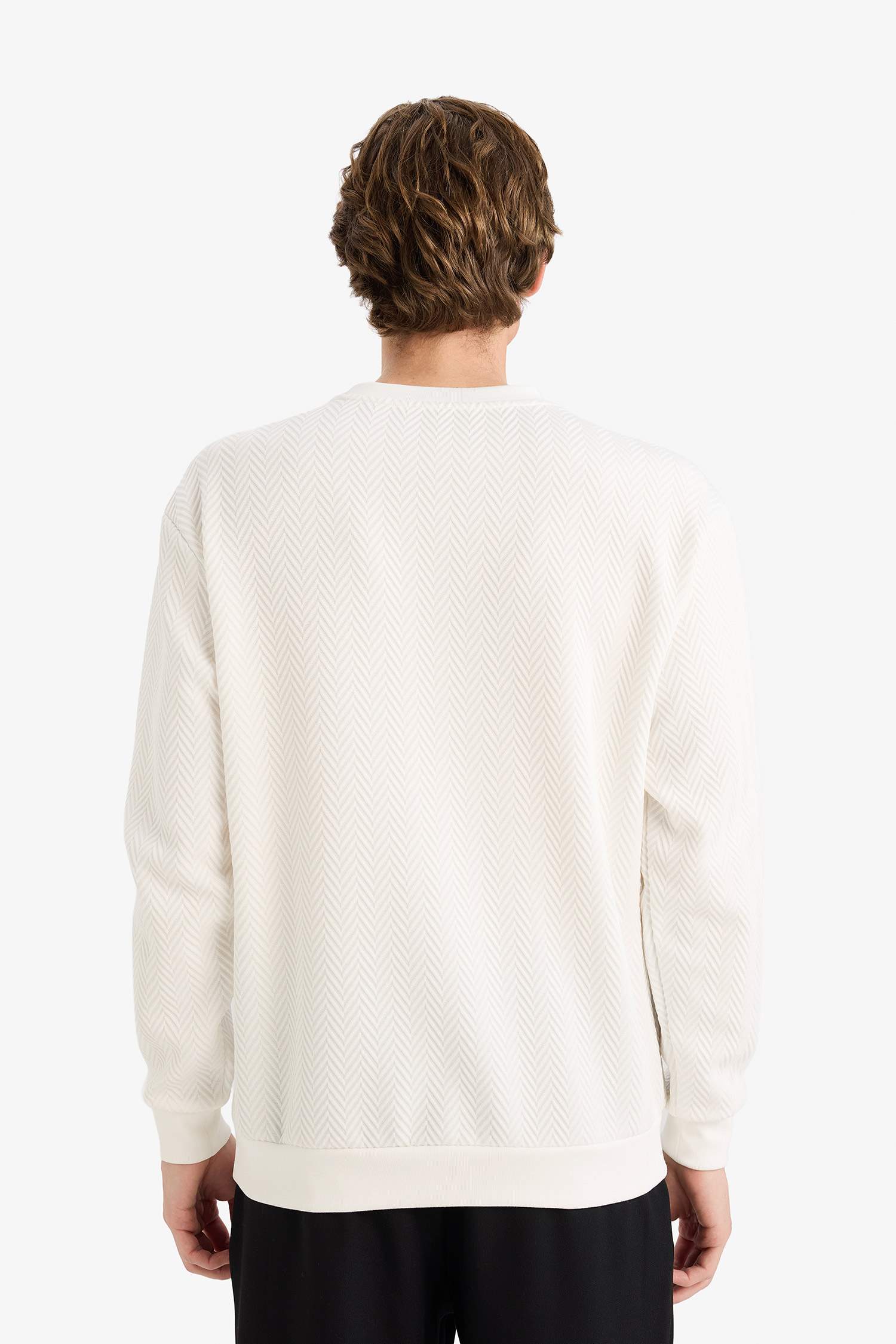 Regular Fit Bisiklet Yaka Sweatshirt